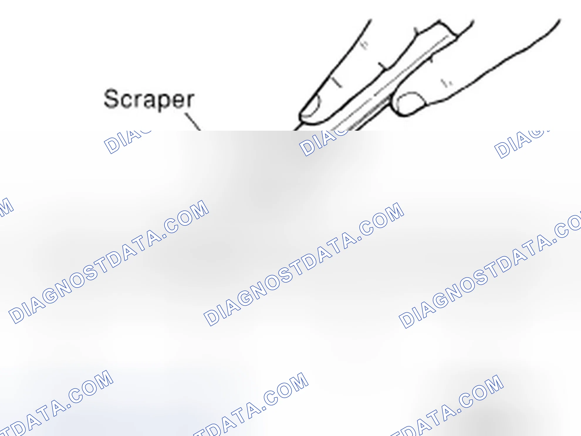 Scheme 2: LIQUID GASKET APPLICATION PROCEDURE