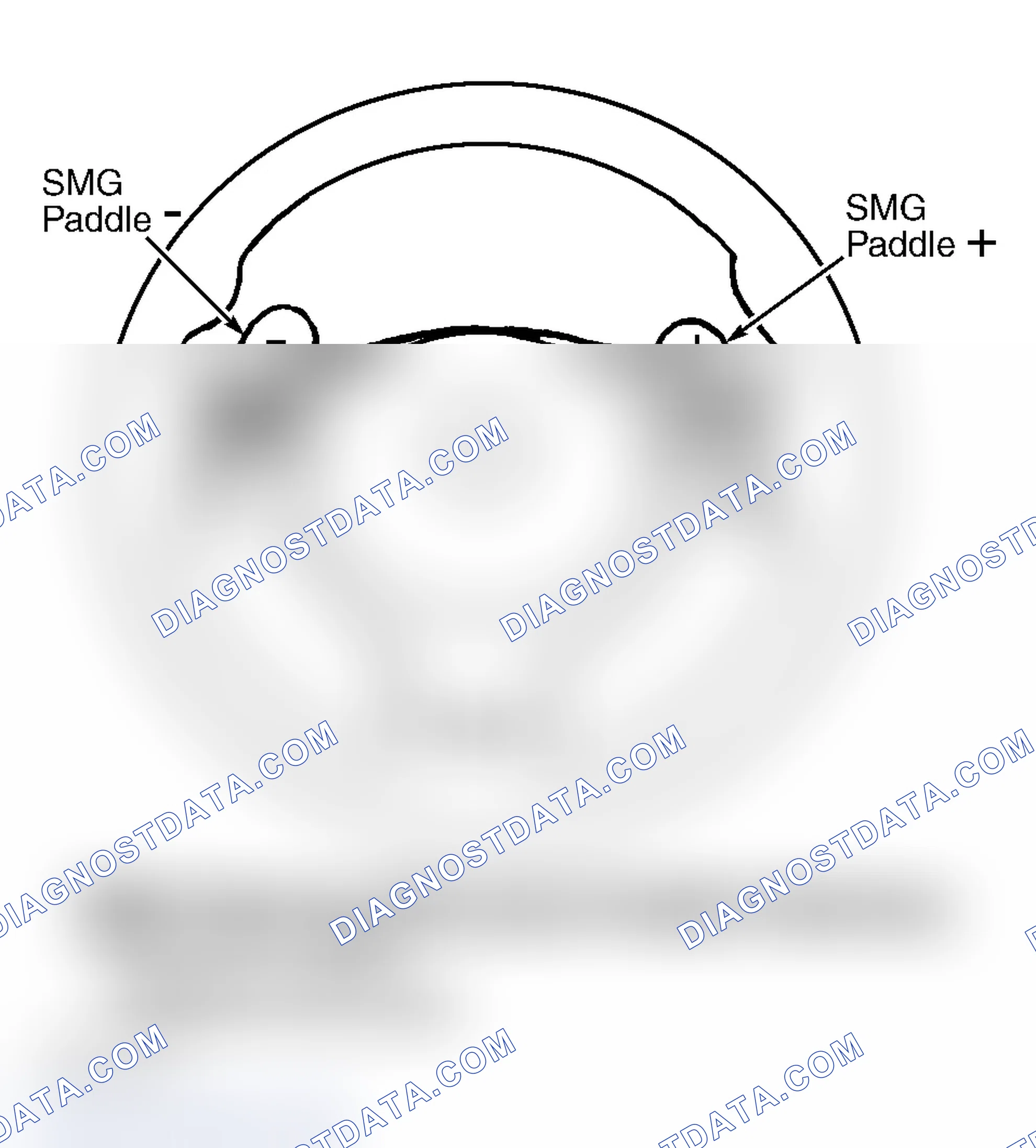 Scheme 210: STEERING WHEEL PADDLE SWITCHES