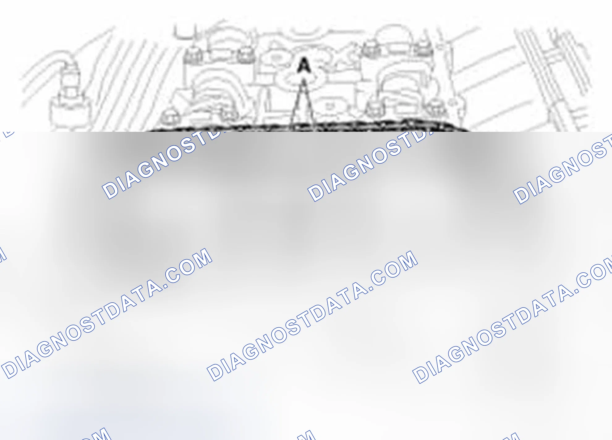 Scheme 335