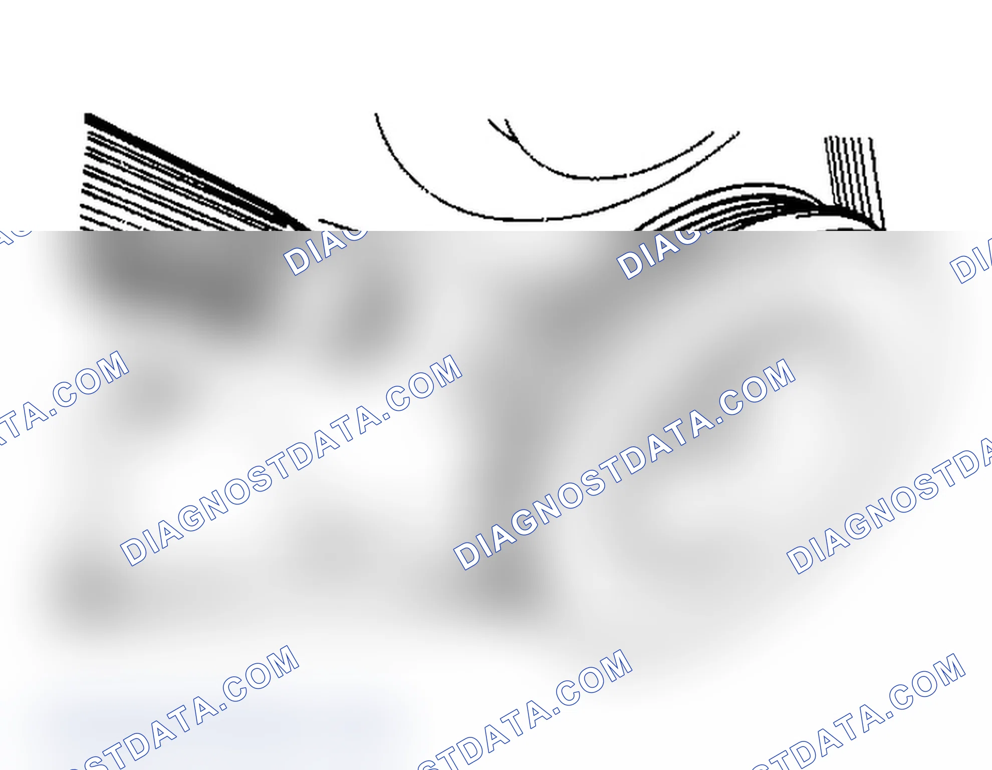 Scheme 3: Locating Ignition Timing Marks (1.5L & 2.4L)