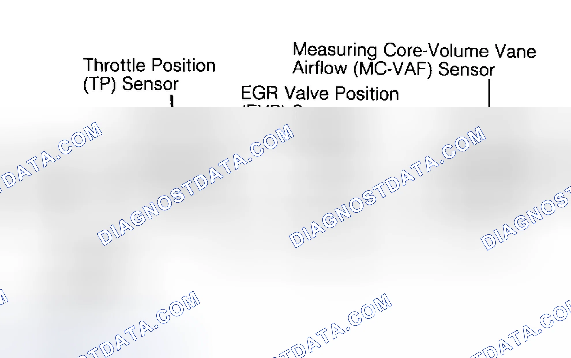 Scheme 144: Identifying VREF Connector Terminals (VREF3 - 2.5L)