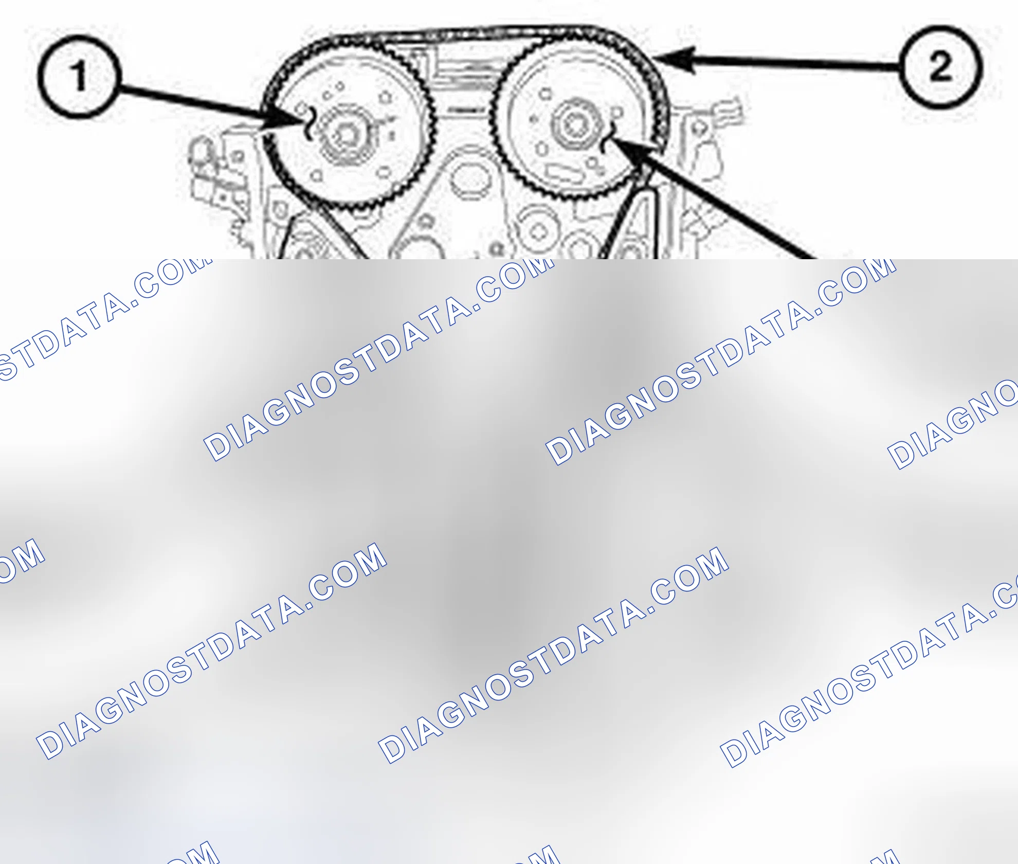 Scheme 306