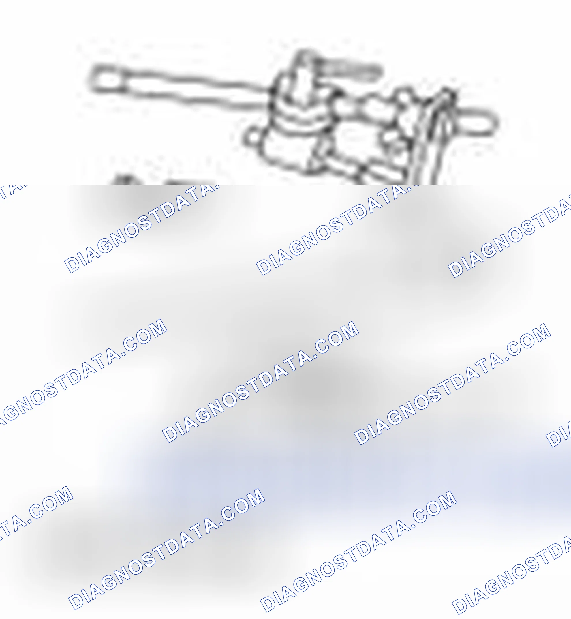 Scheme 2345: Special Tool(s)