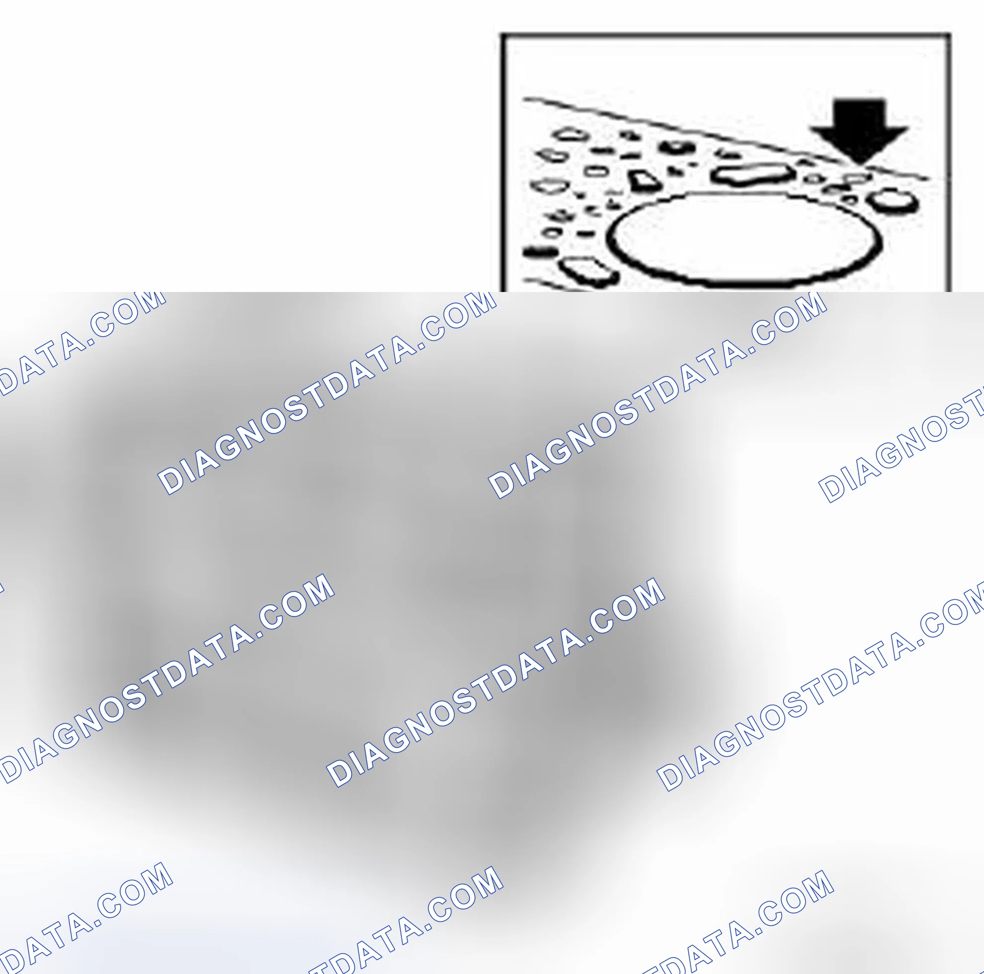 Scheme 321: Pitting in the surface sealing to the cylinder head
