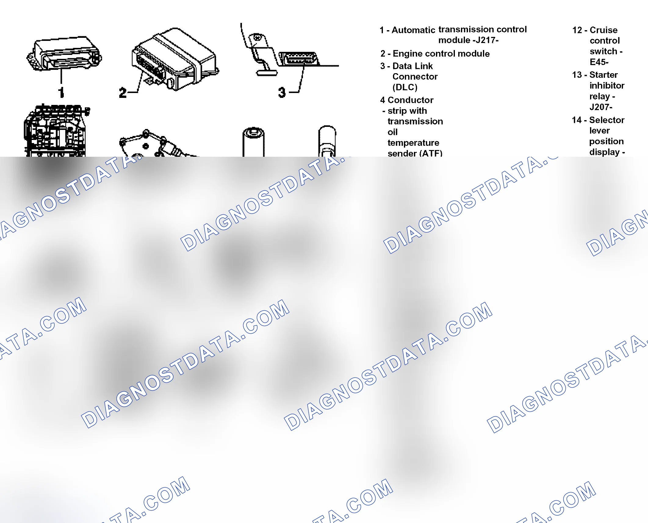 Scheme 593