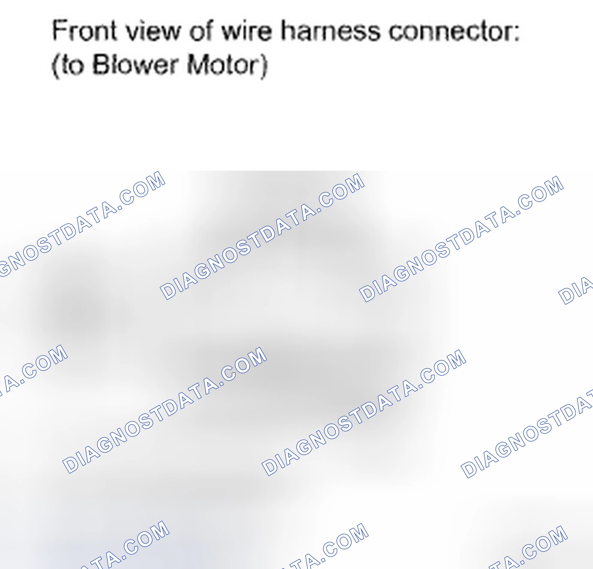 Scheme 271: INSPECTION PROCEDURE