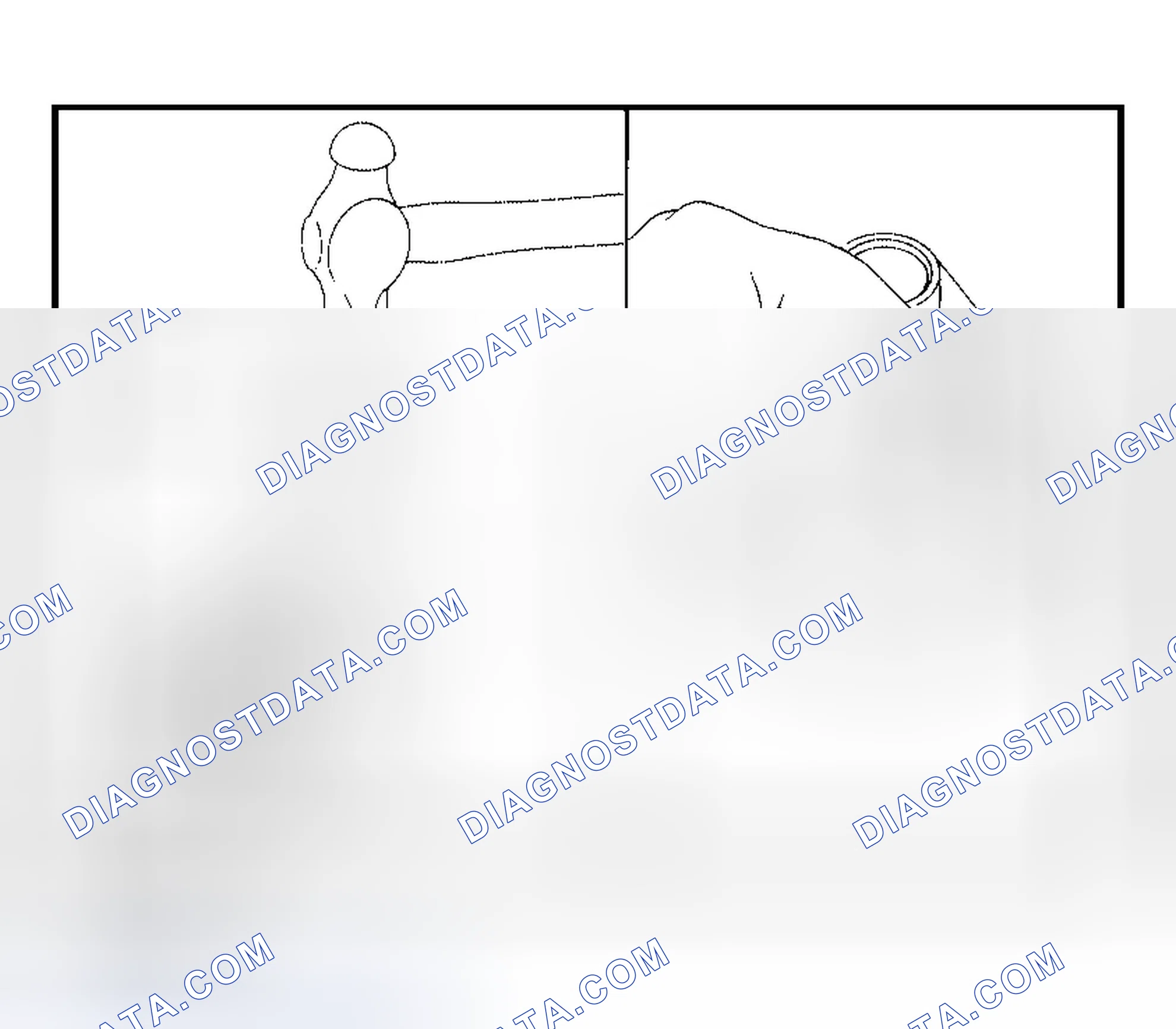 Scheme 58