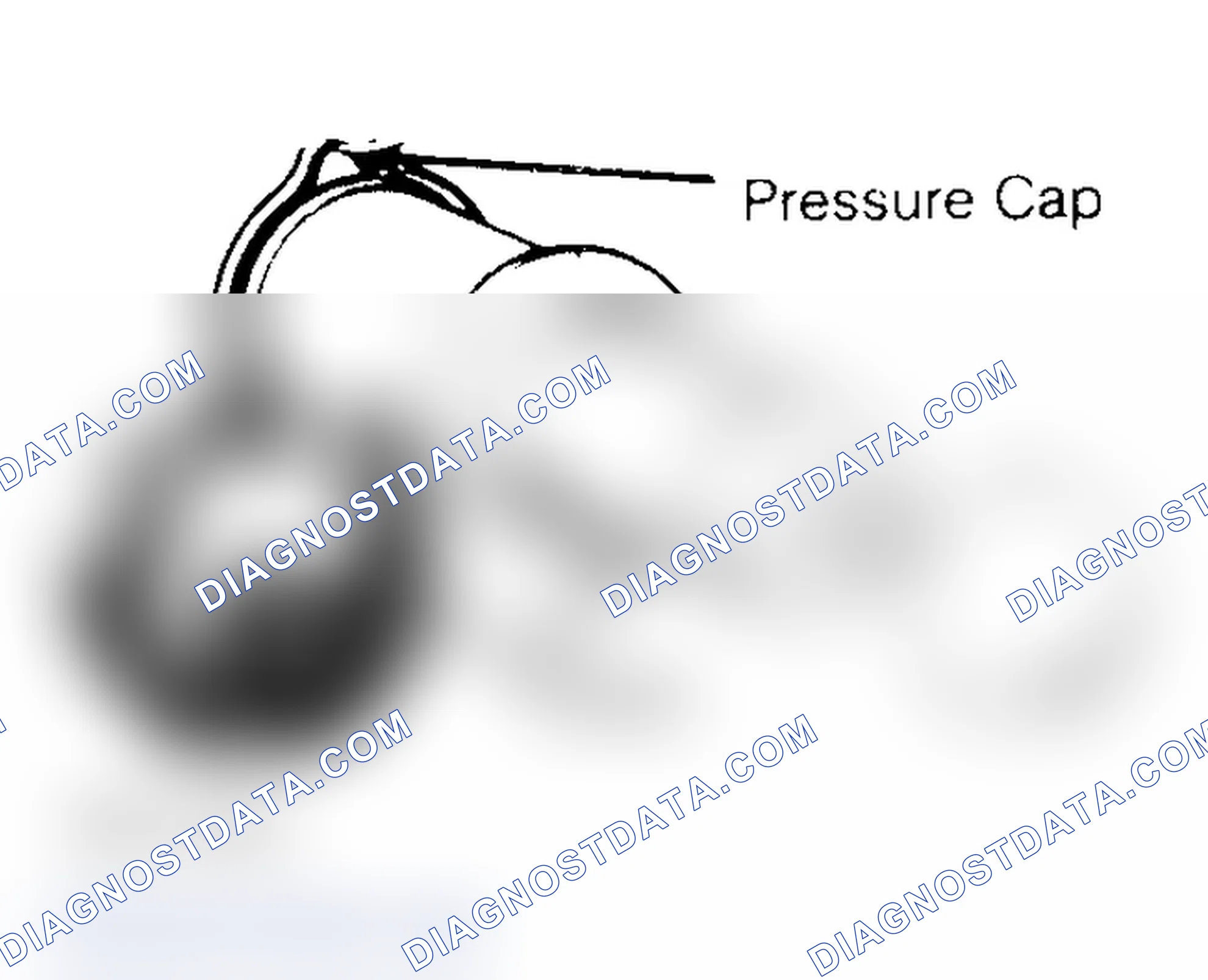 Scheme 2: Pressure Testing Radiator Cap