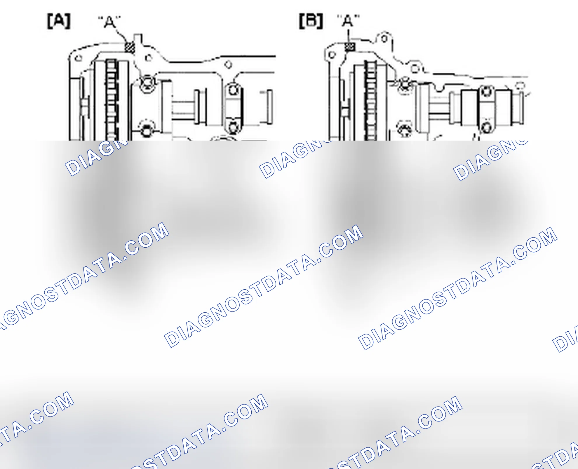 Scheme 255