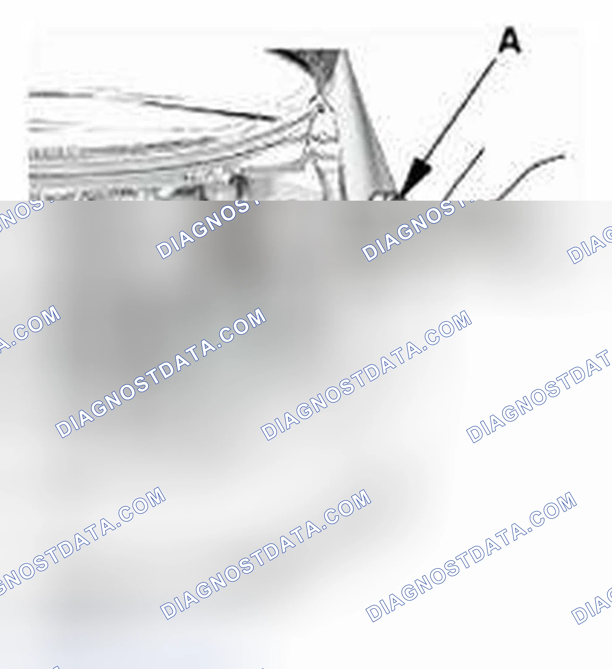 Scheme 440: Test