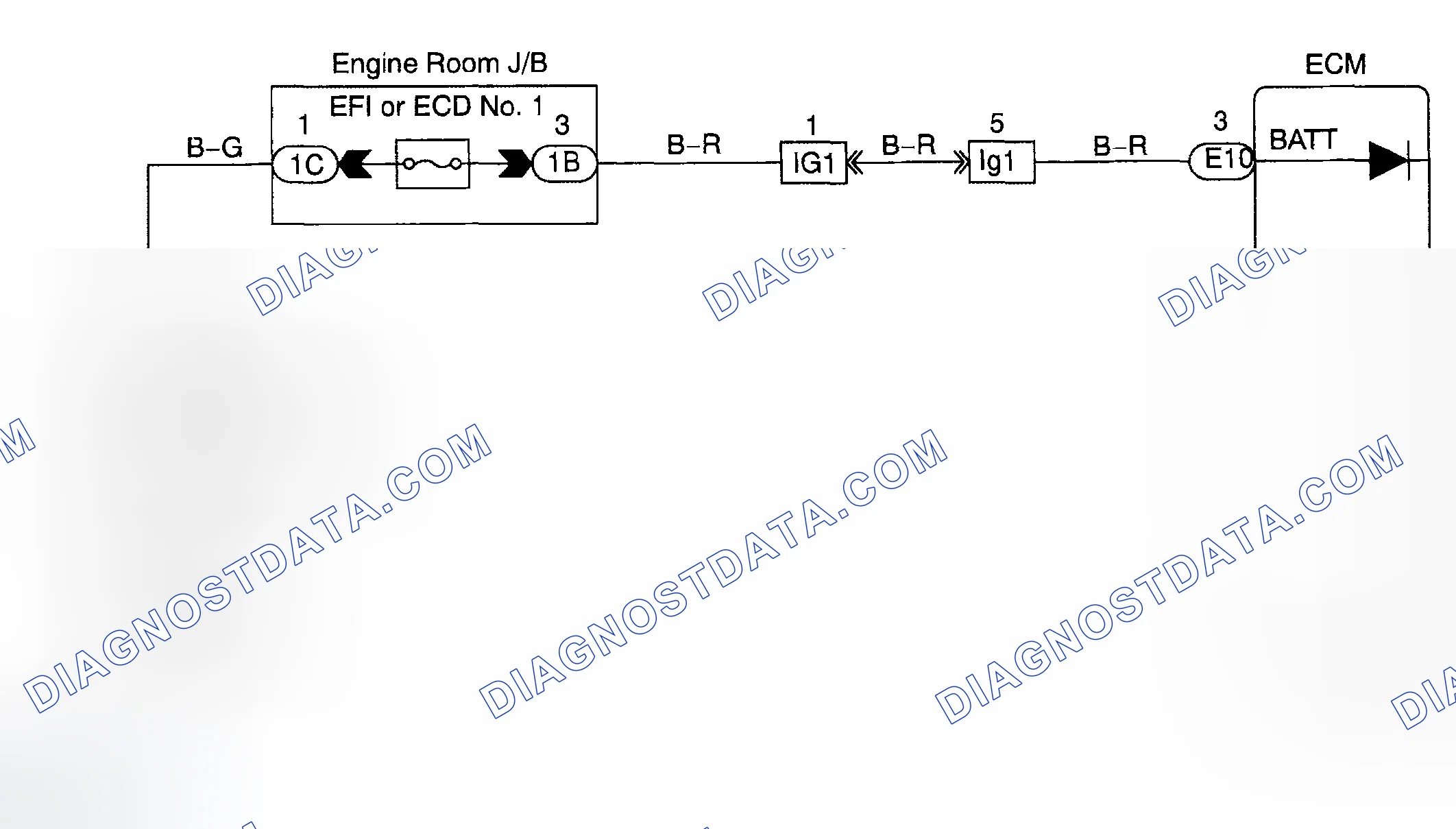 Scheme 81: WIRING DIAGRAM