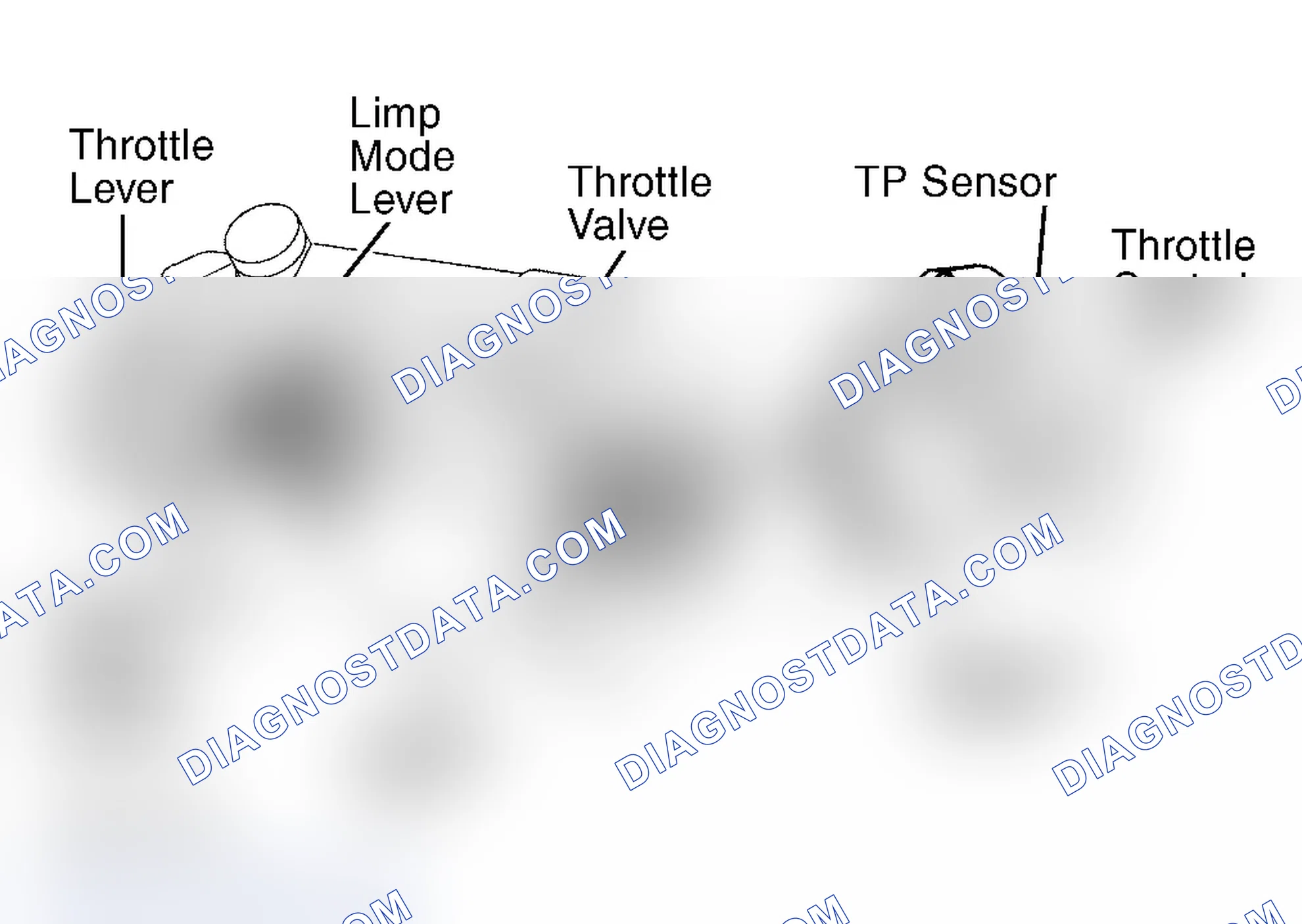 Scheme 406: Land Cruiser & Tundra 4.7L V8