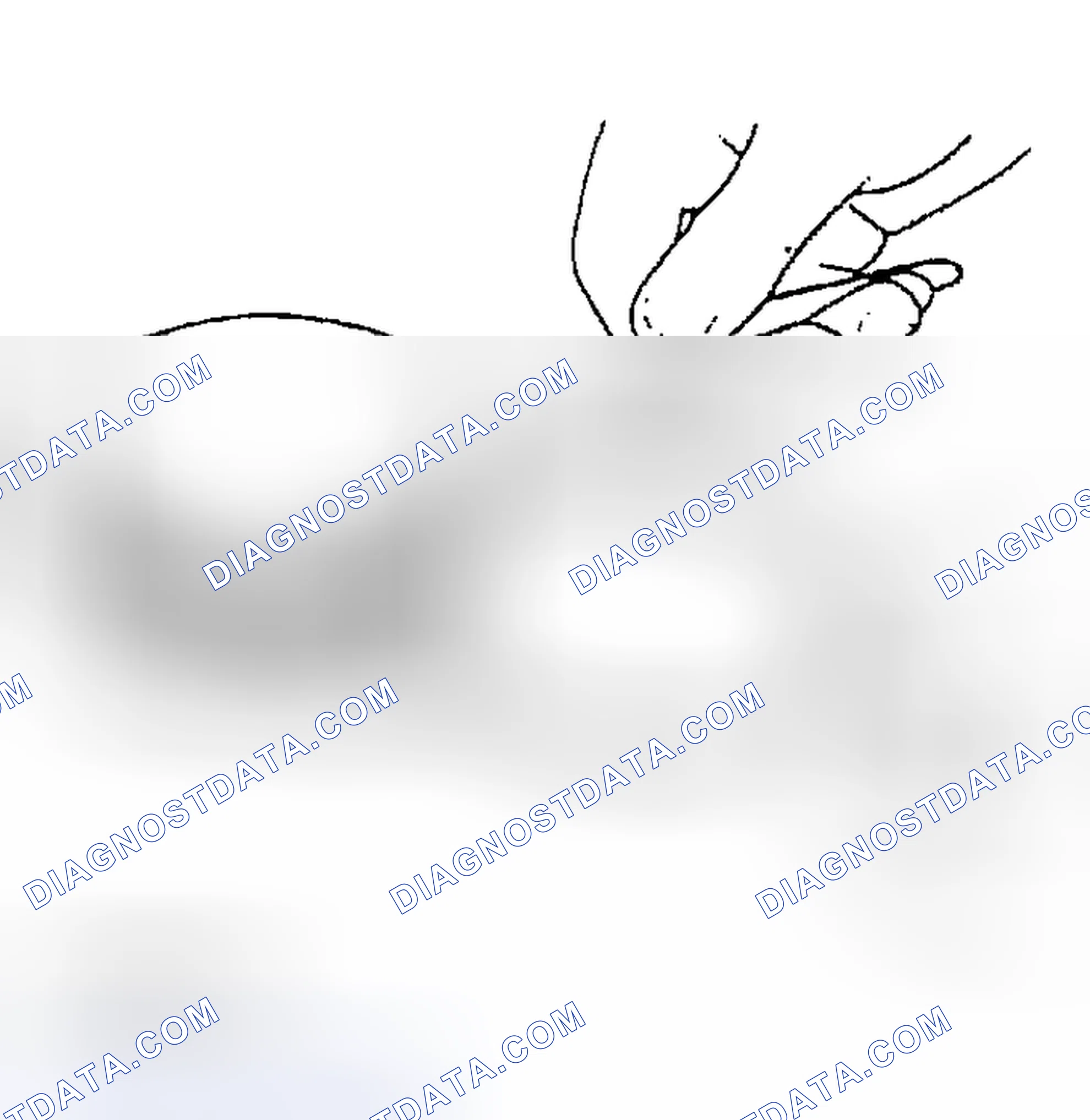 Scheme 19: PISTON RING CLEARANCE INSPECTION