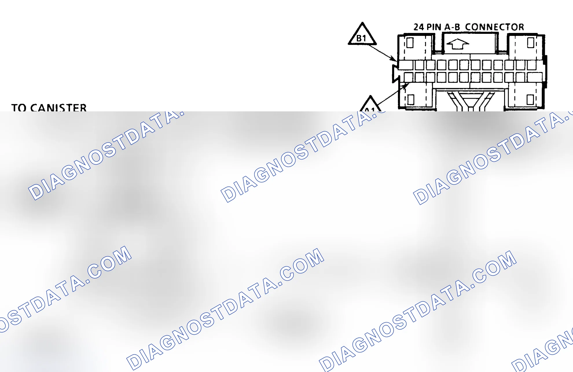 Scheme 342: Chart C3 Schematic - Canister Purge Valve
