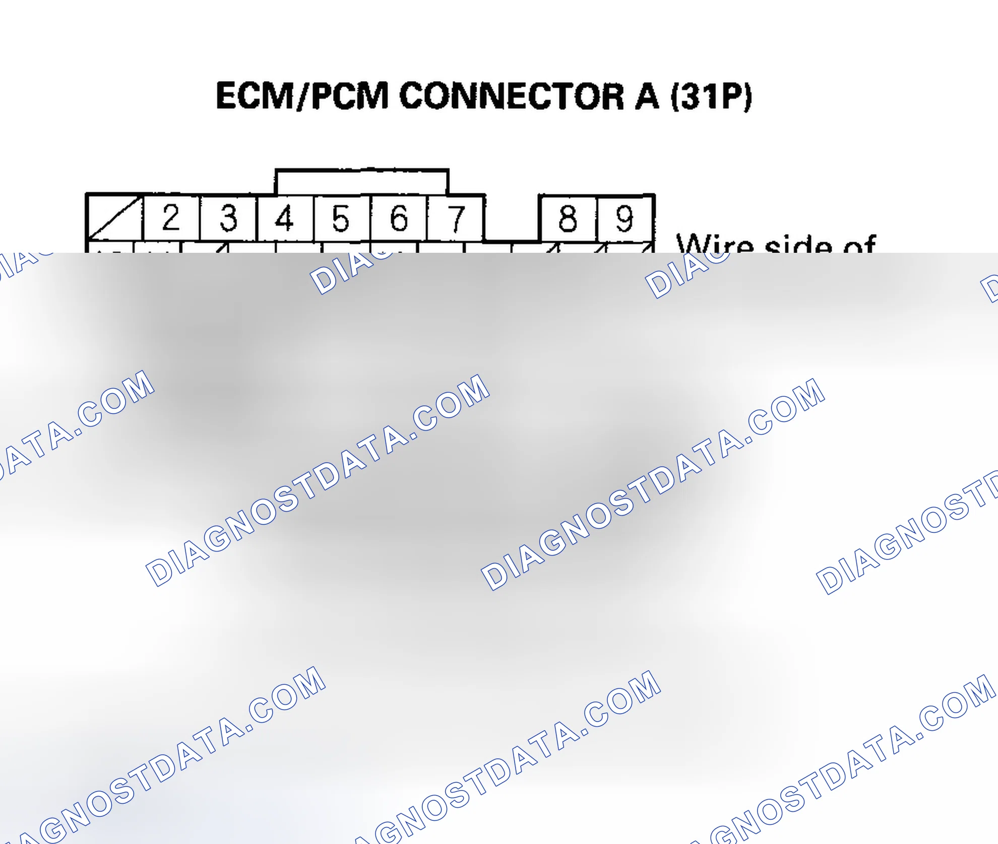 Scheme 495