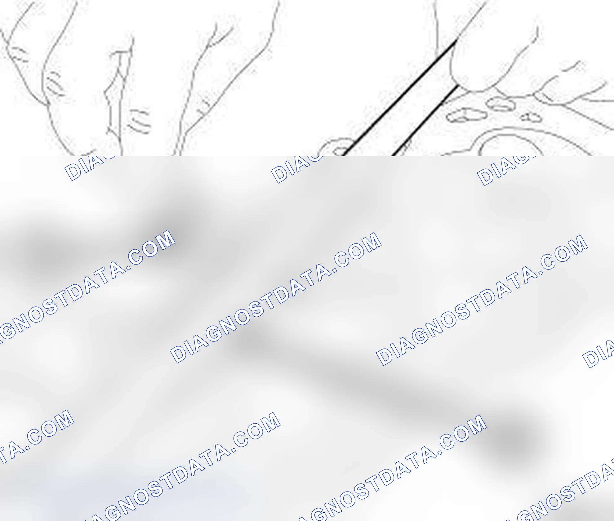 Scheme 102: INSPECTION