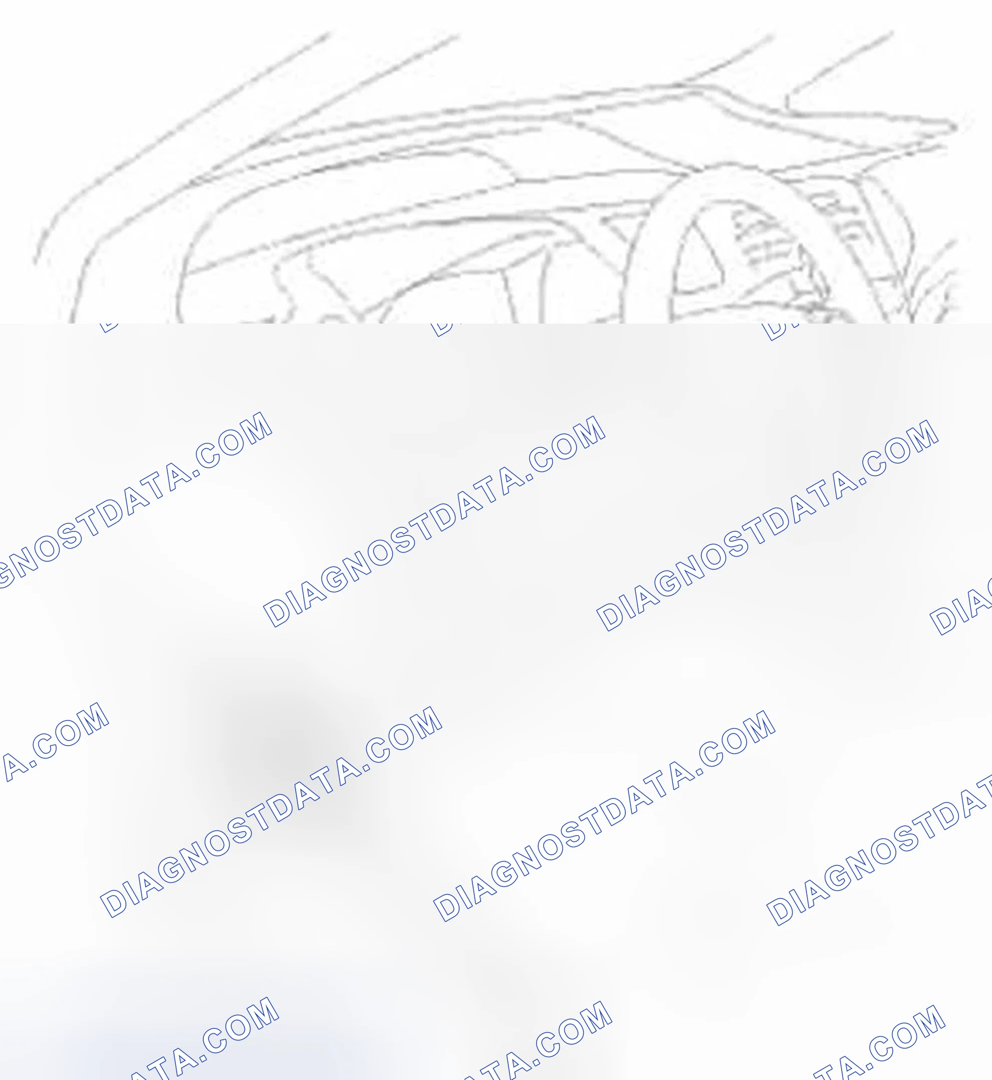 Scheme 61: Text