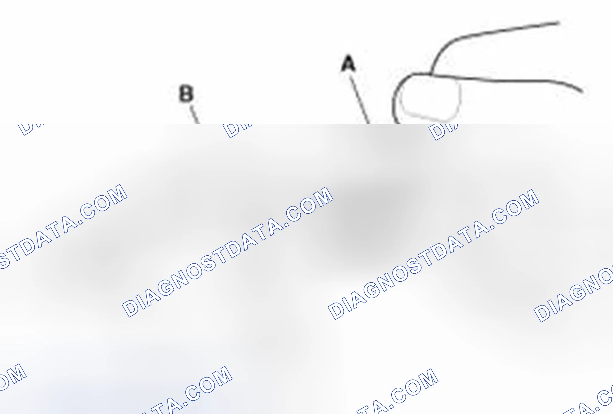 Scheme 8
