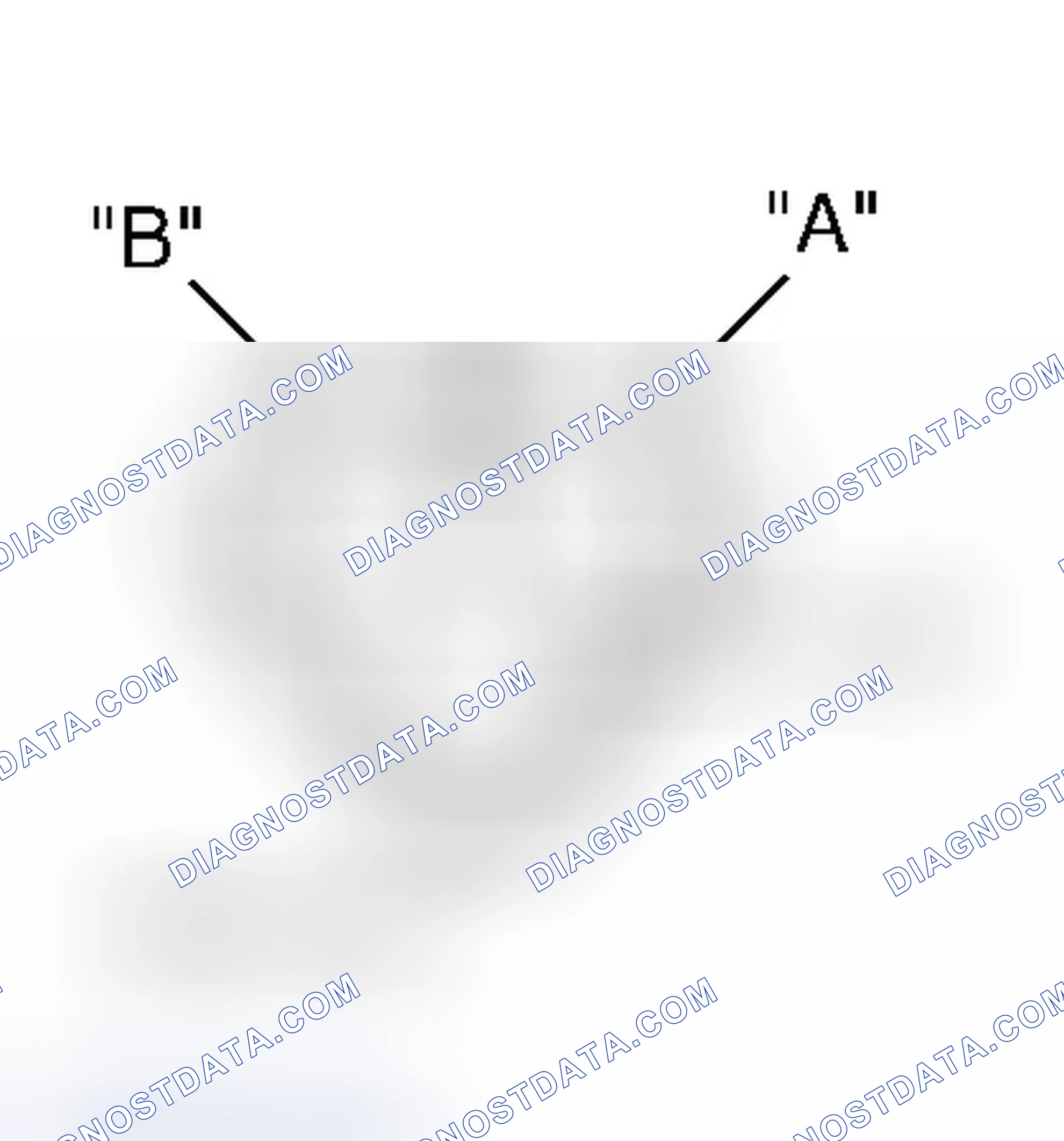 Scheme 81