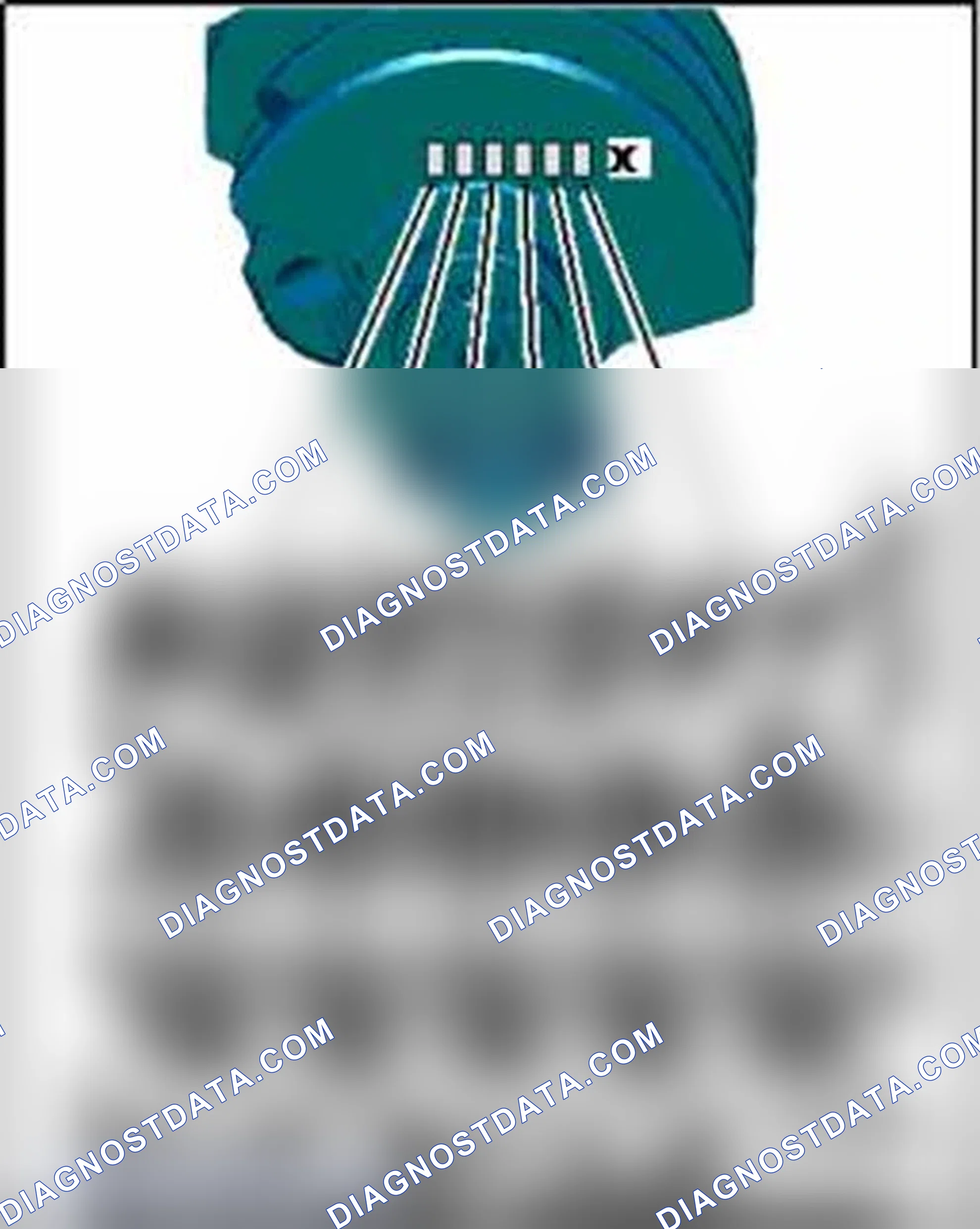 Scheme 204