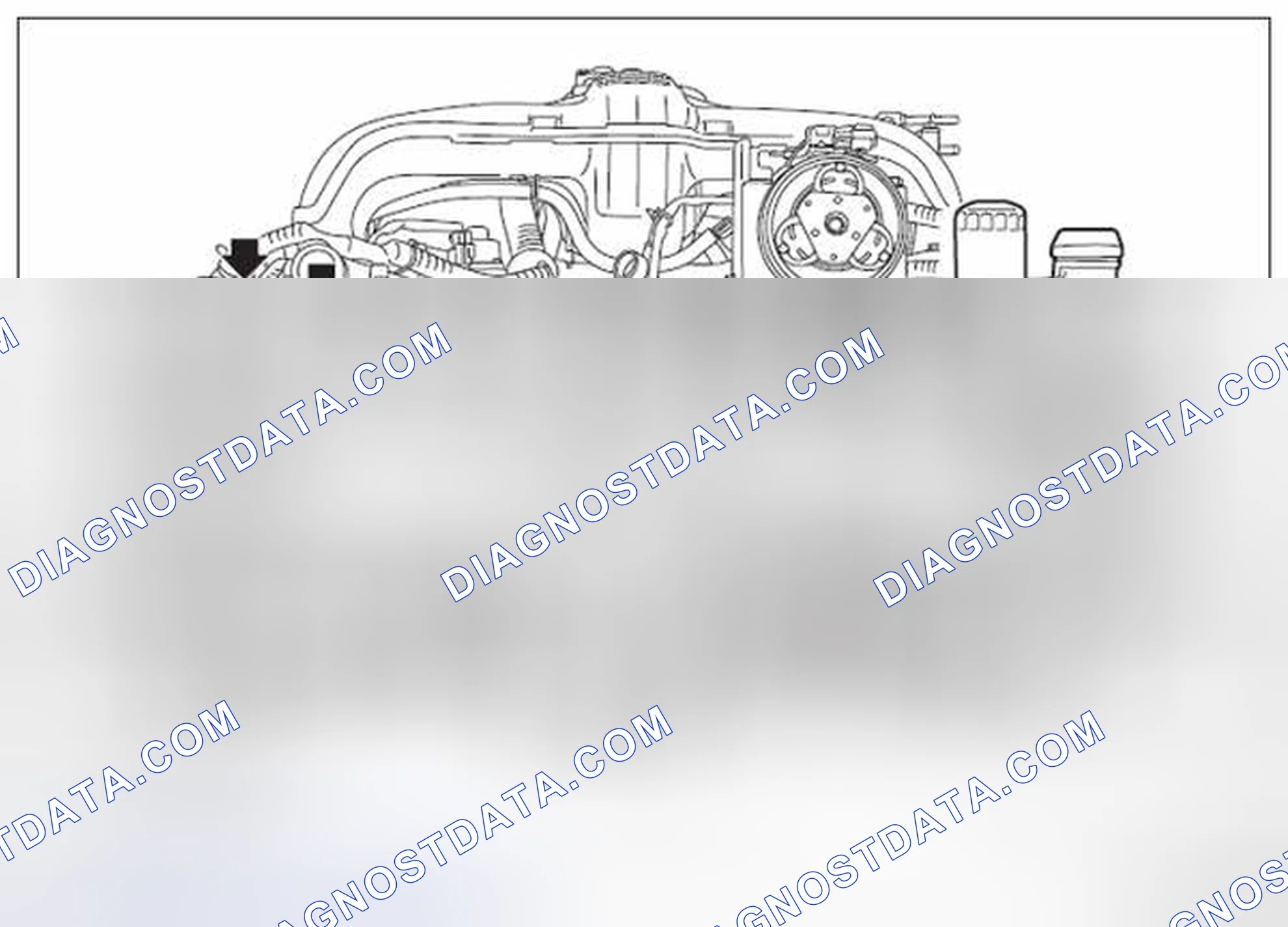 Scheme 135