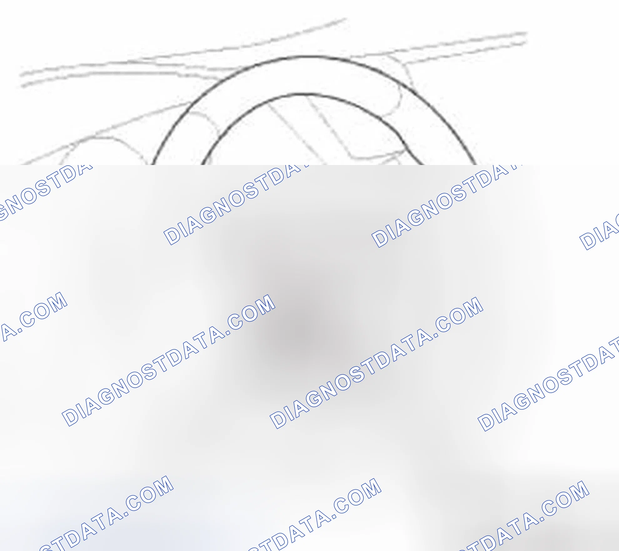 Scheme 877