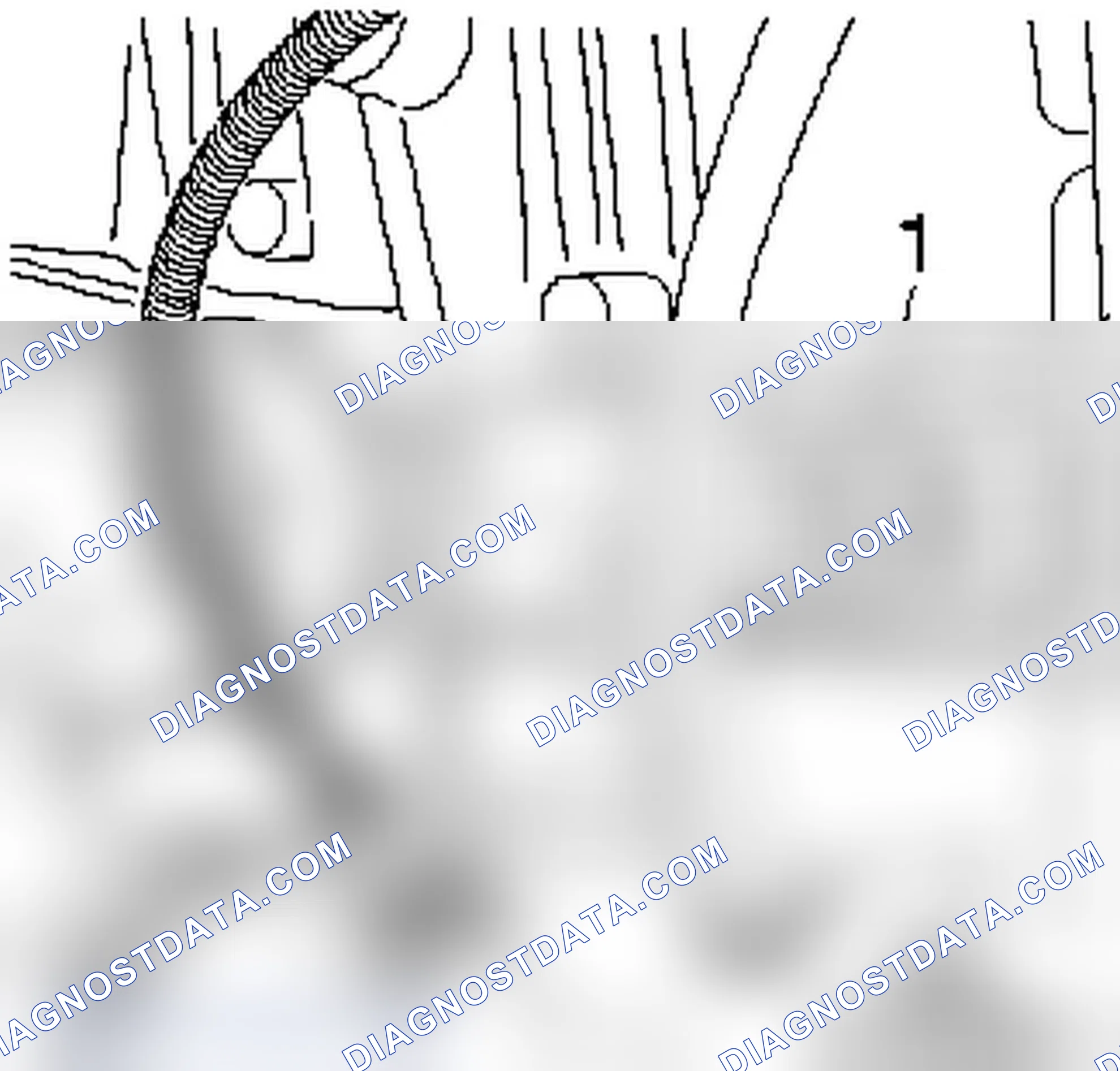 Engine Number
