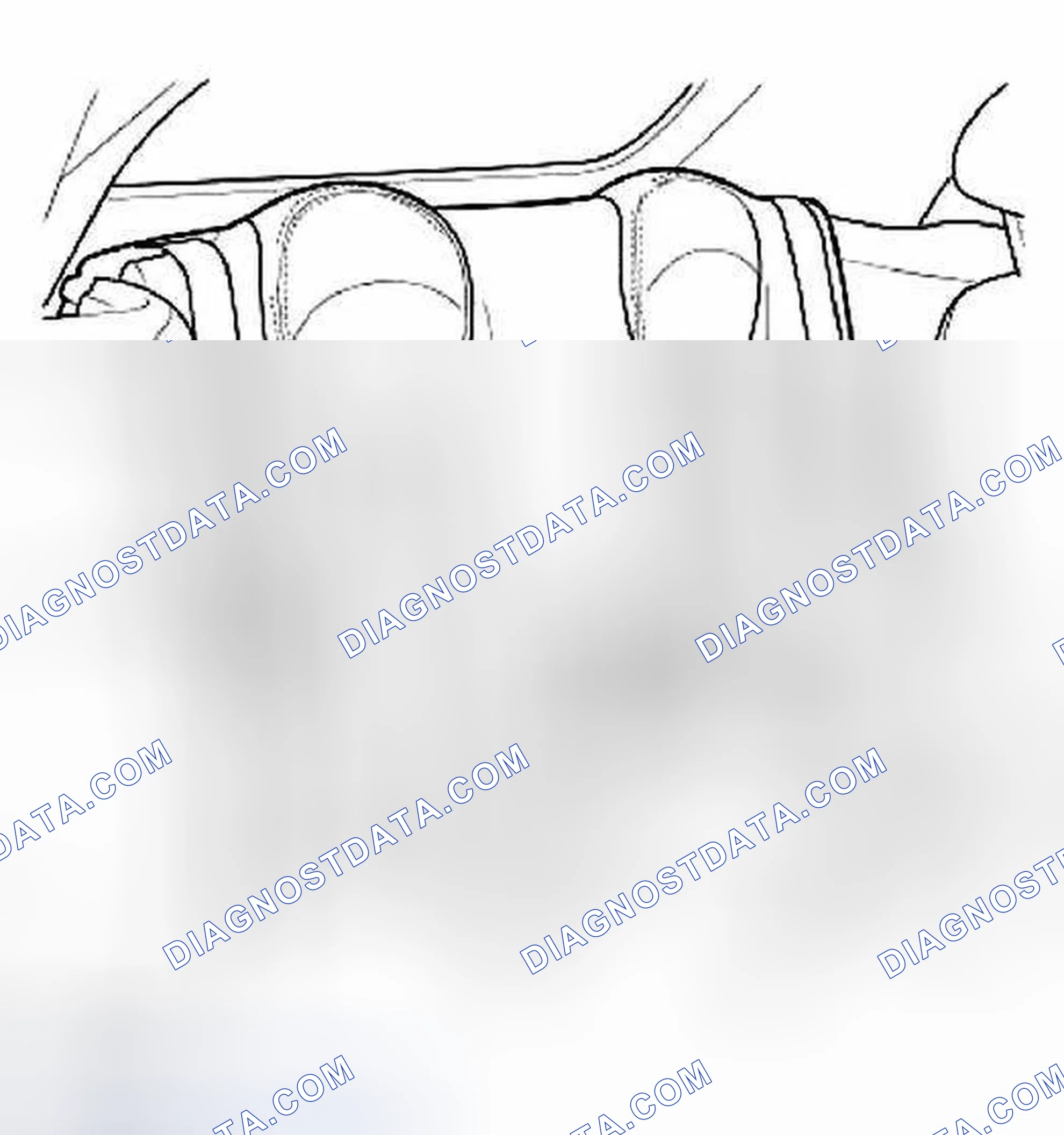 Fig. 2: View Of Rear Seats