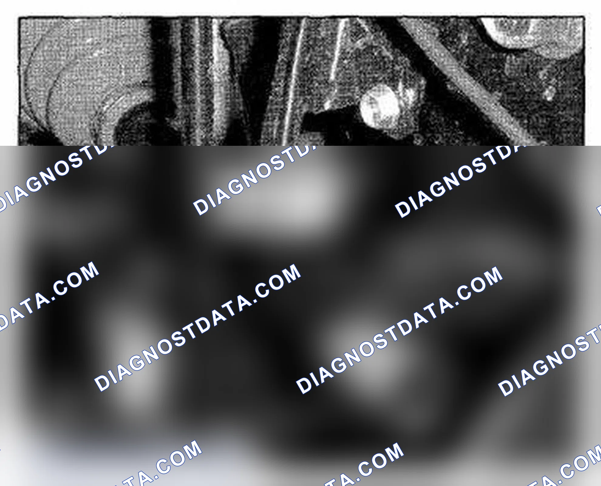 Scheme 464: Right Side Of Engine Compartment Component Location (Photo 59)