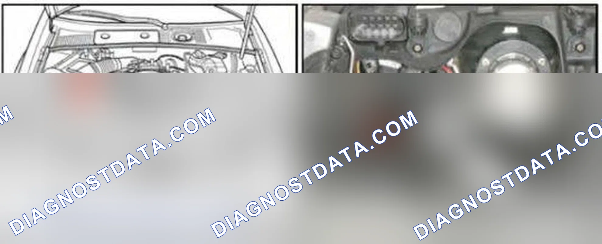 Scheme 145