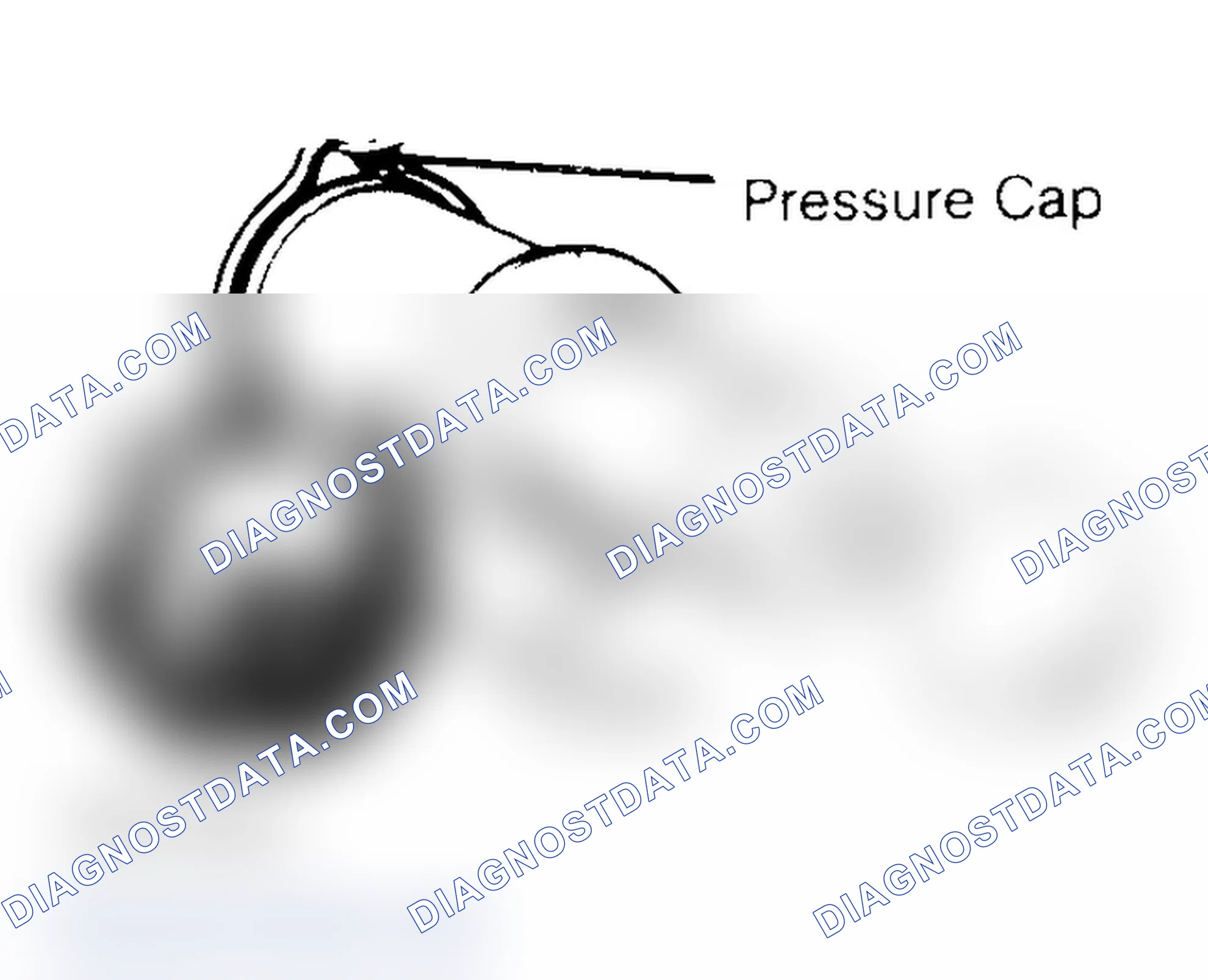 Scheme 2: Pressure Testing Radiator Cap