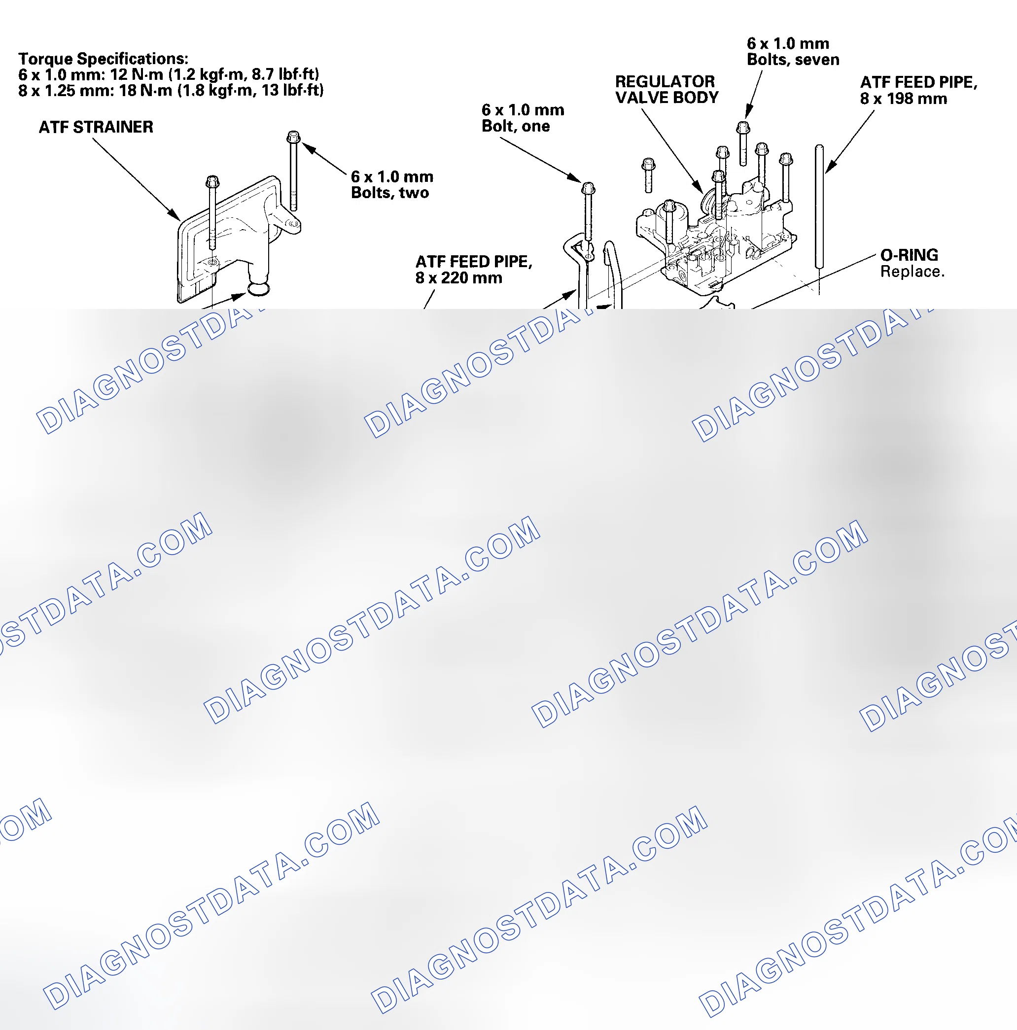 Scheme 505: Exploded View - 2003-2004 Models
