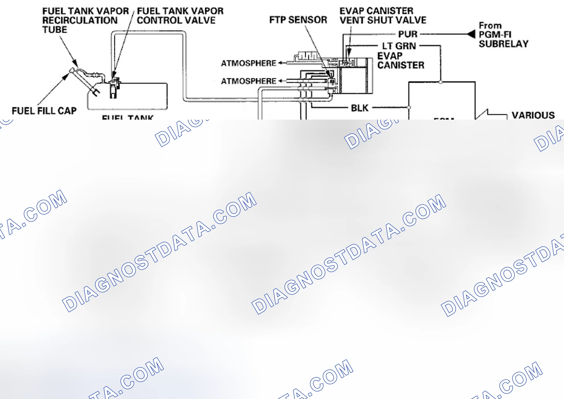 Scheme 1000: Evaporative Emission (EVAP) Control Diagram