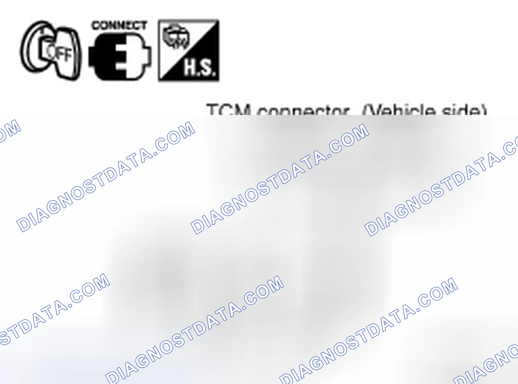 Scheme 155: Diagnostic Procedure