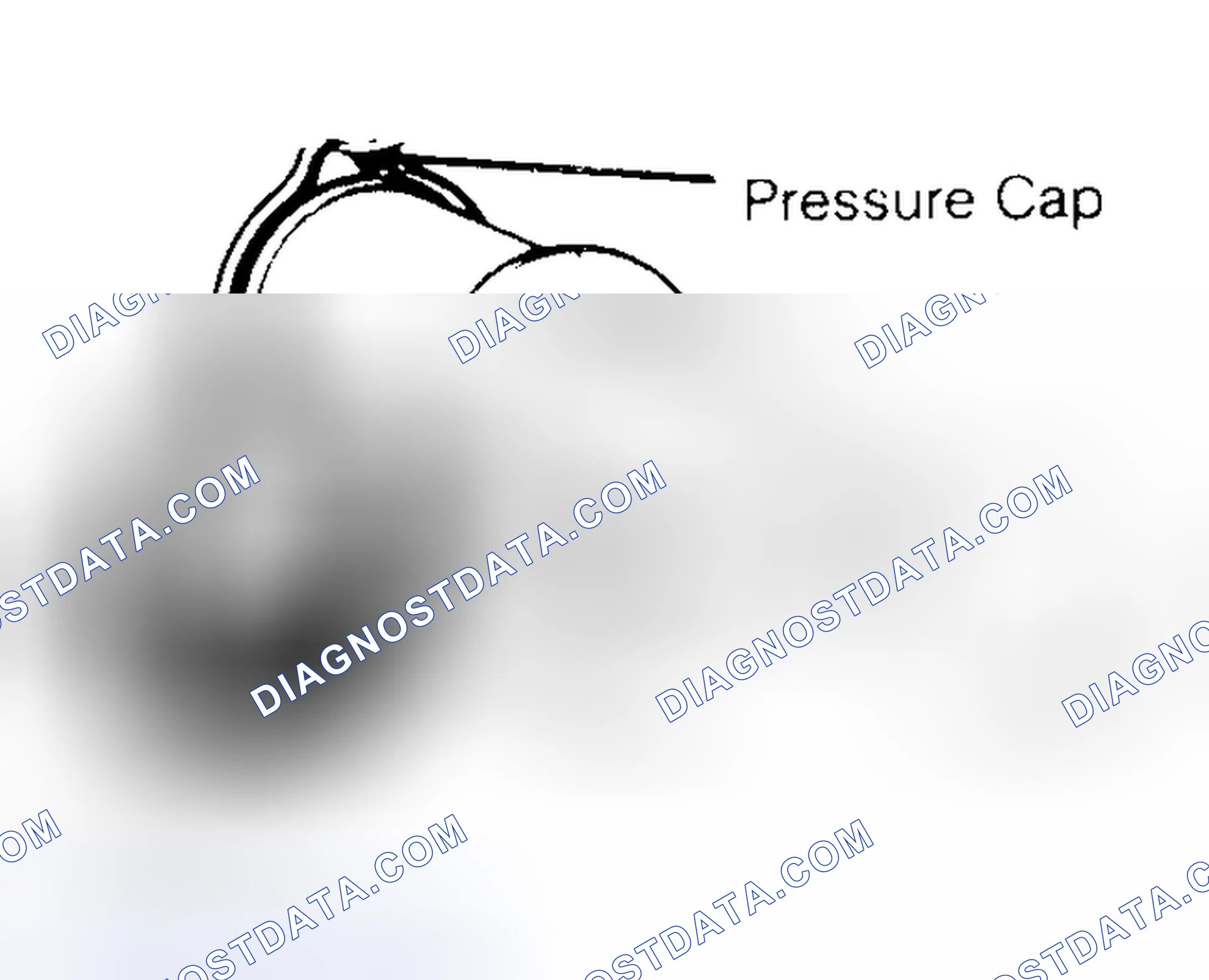 Scheme 2: Pressure Testing Radiator Cap