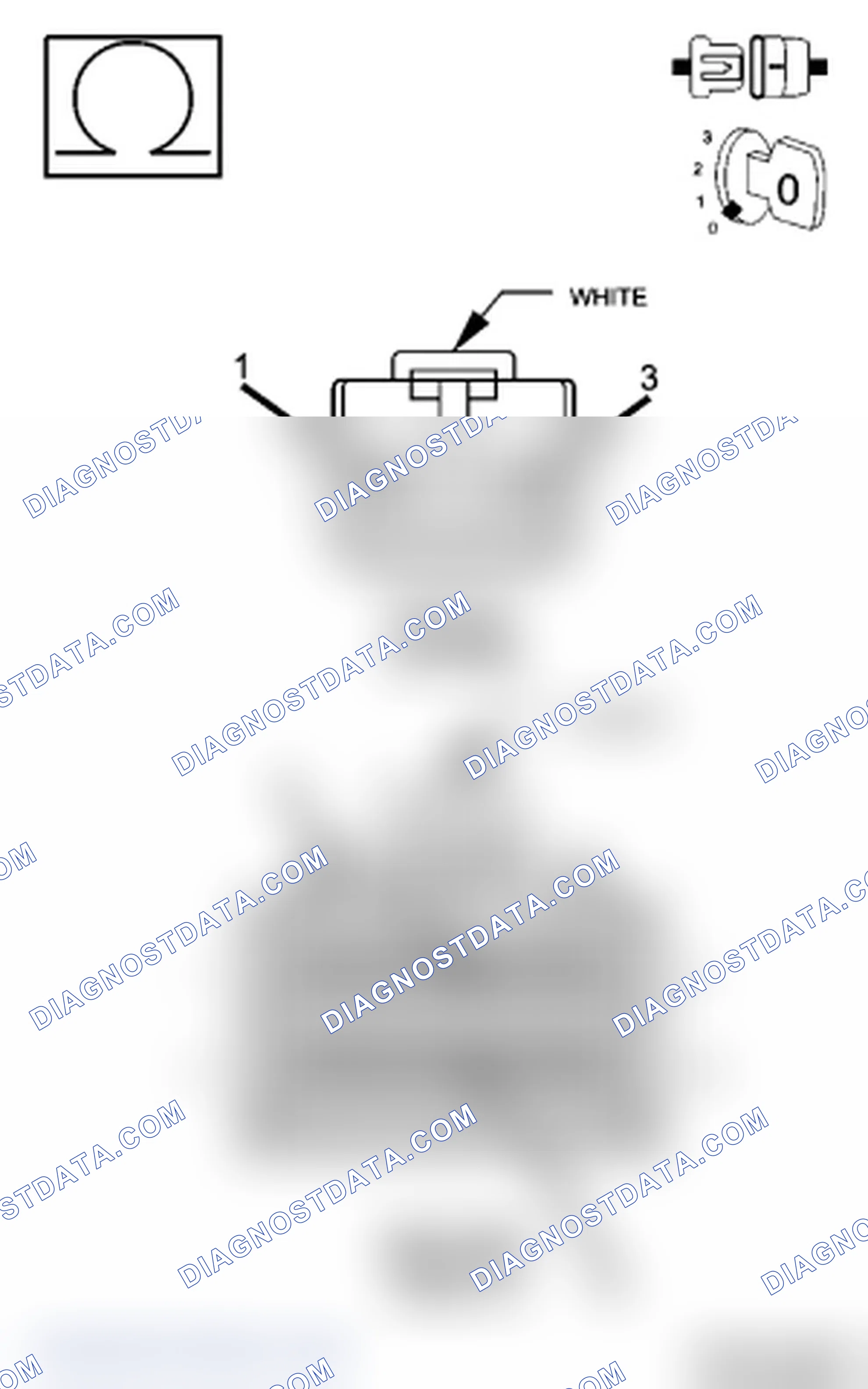 Scheme 43: Diagnostic Test