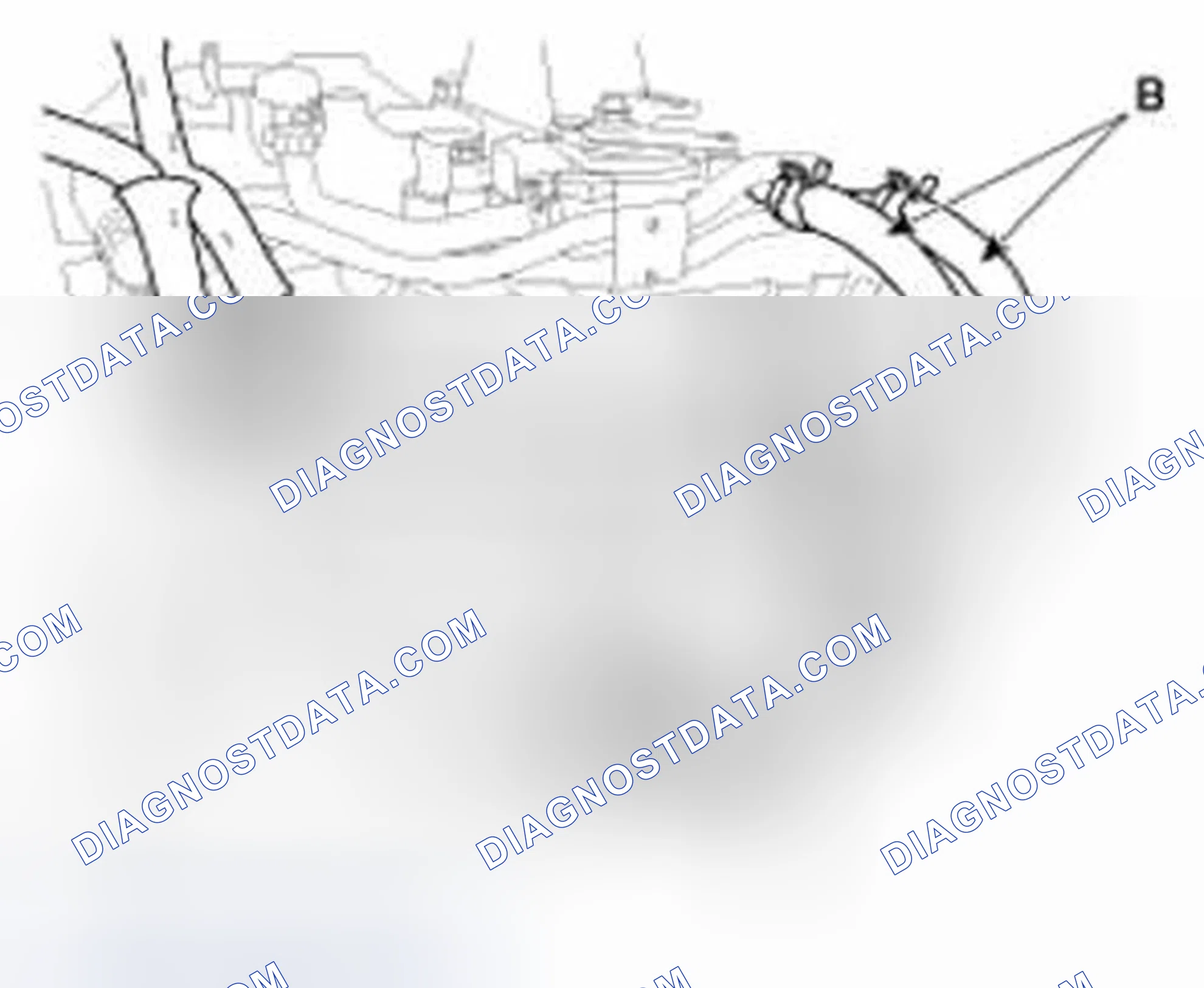 Scheme 645