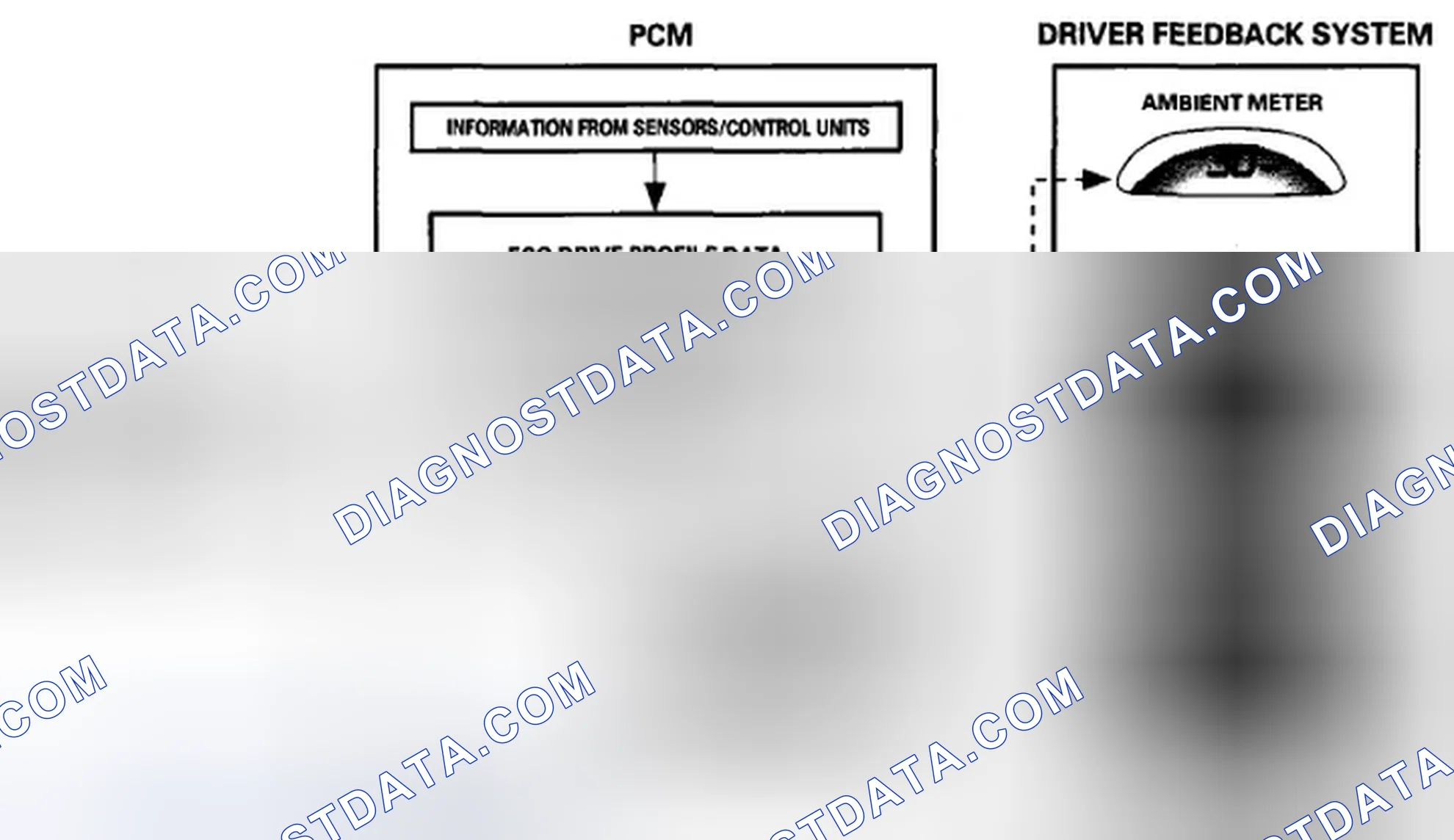 Scheme 675: Eco Guide