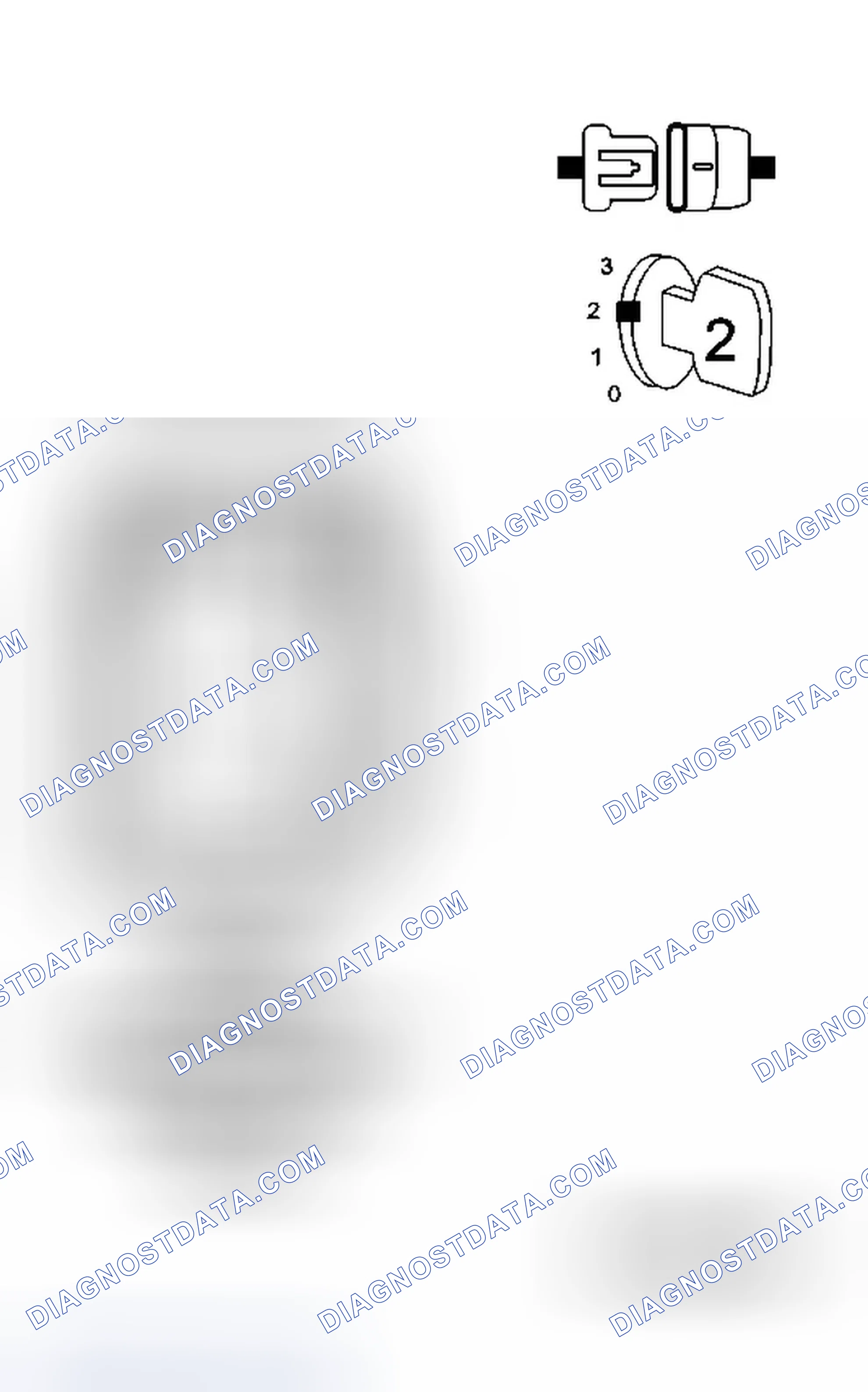 Scheme 43: Diagnostic Test