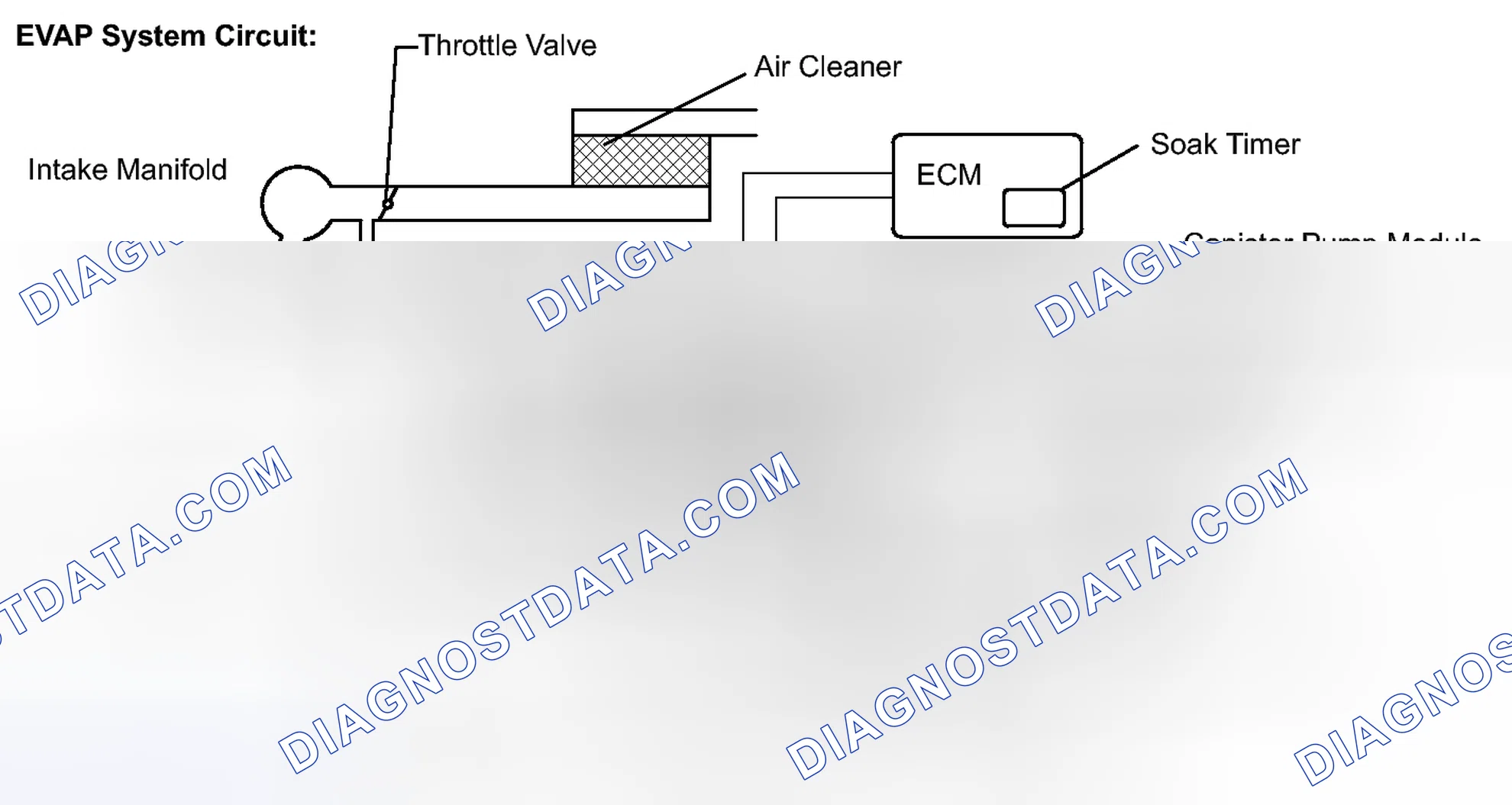 Scheme 138