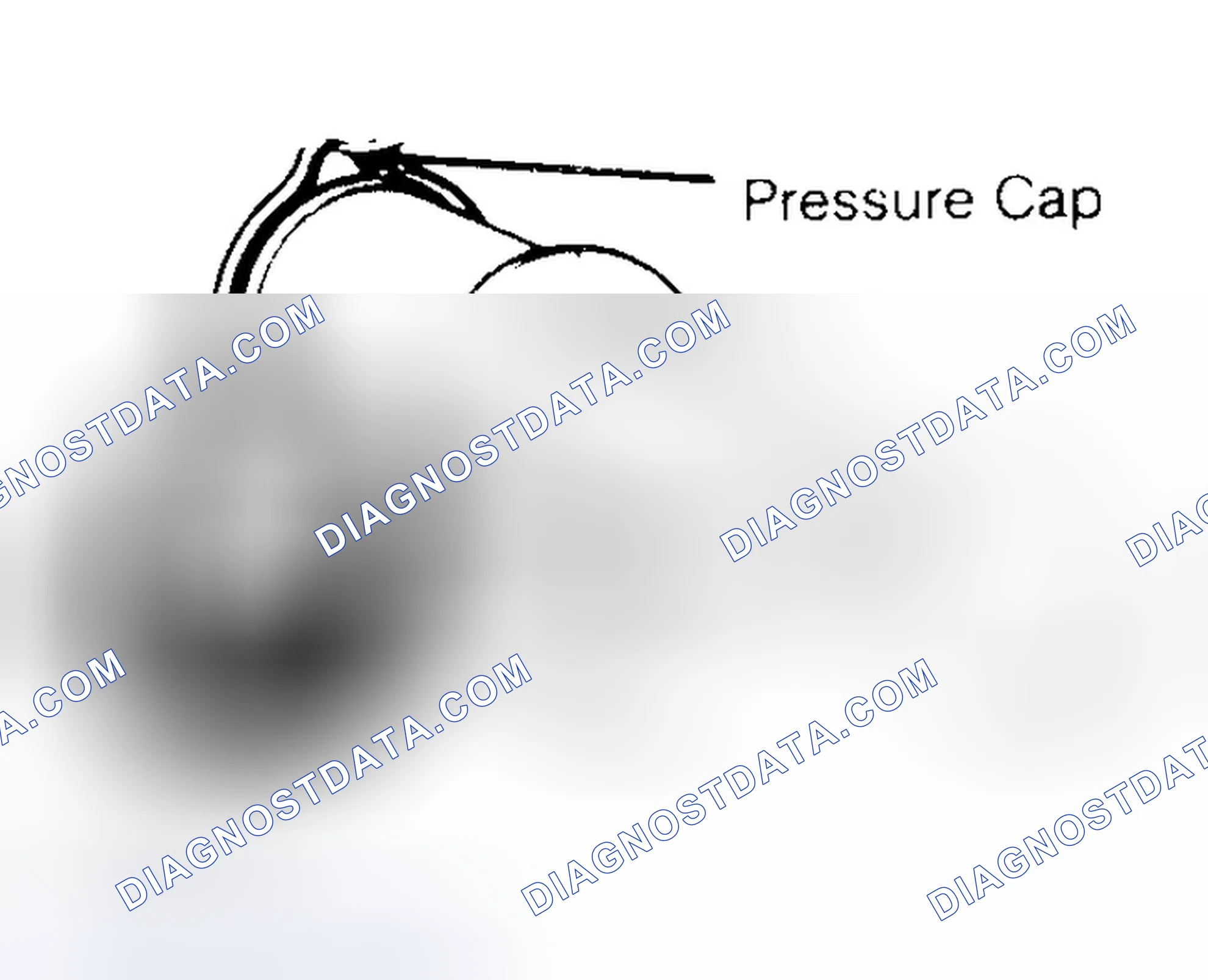 Scheme 2: Pressure Testing Radiator Cap