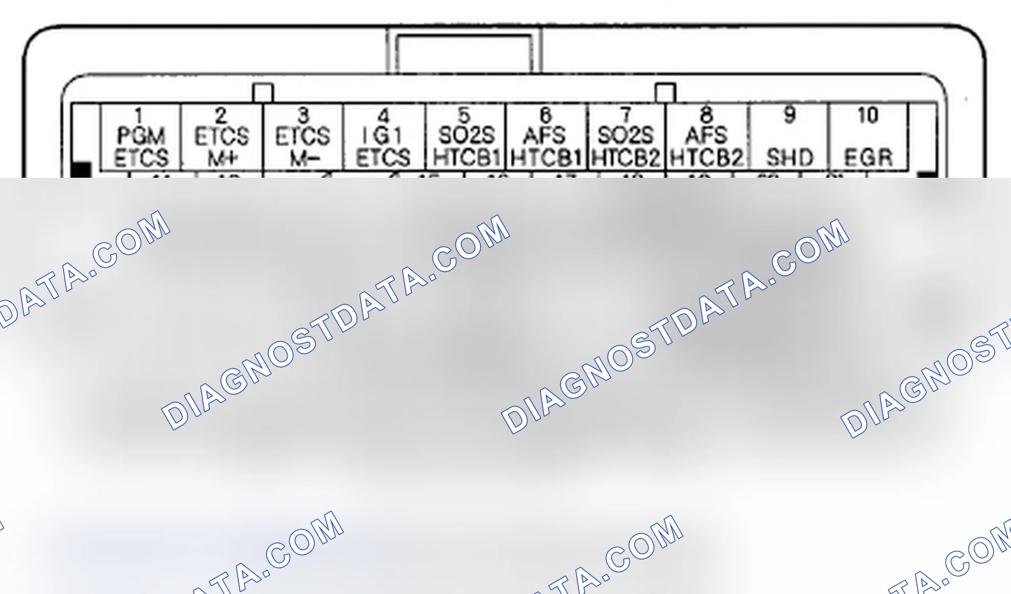 Scheme 114: ECM/PCM Inputs and Outputs at ECM/PCM Connector C (o) (49P)