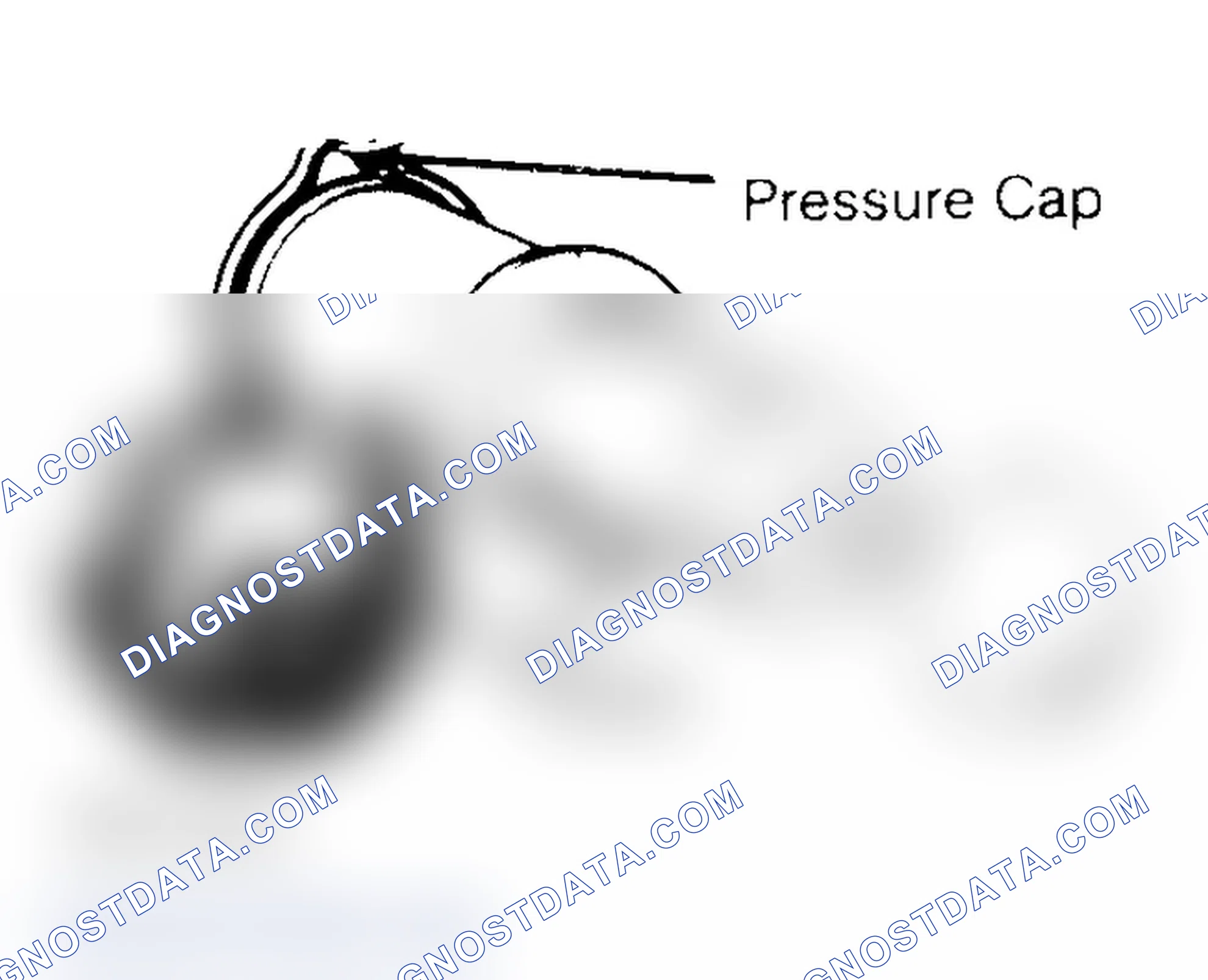Scheme 2: Pressure Testing Radiator Cap