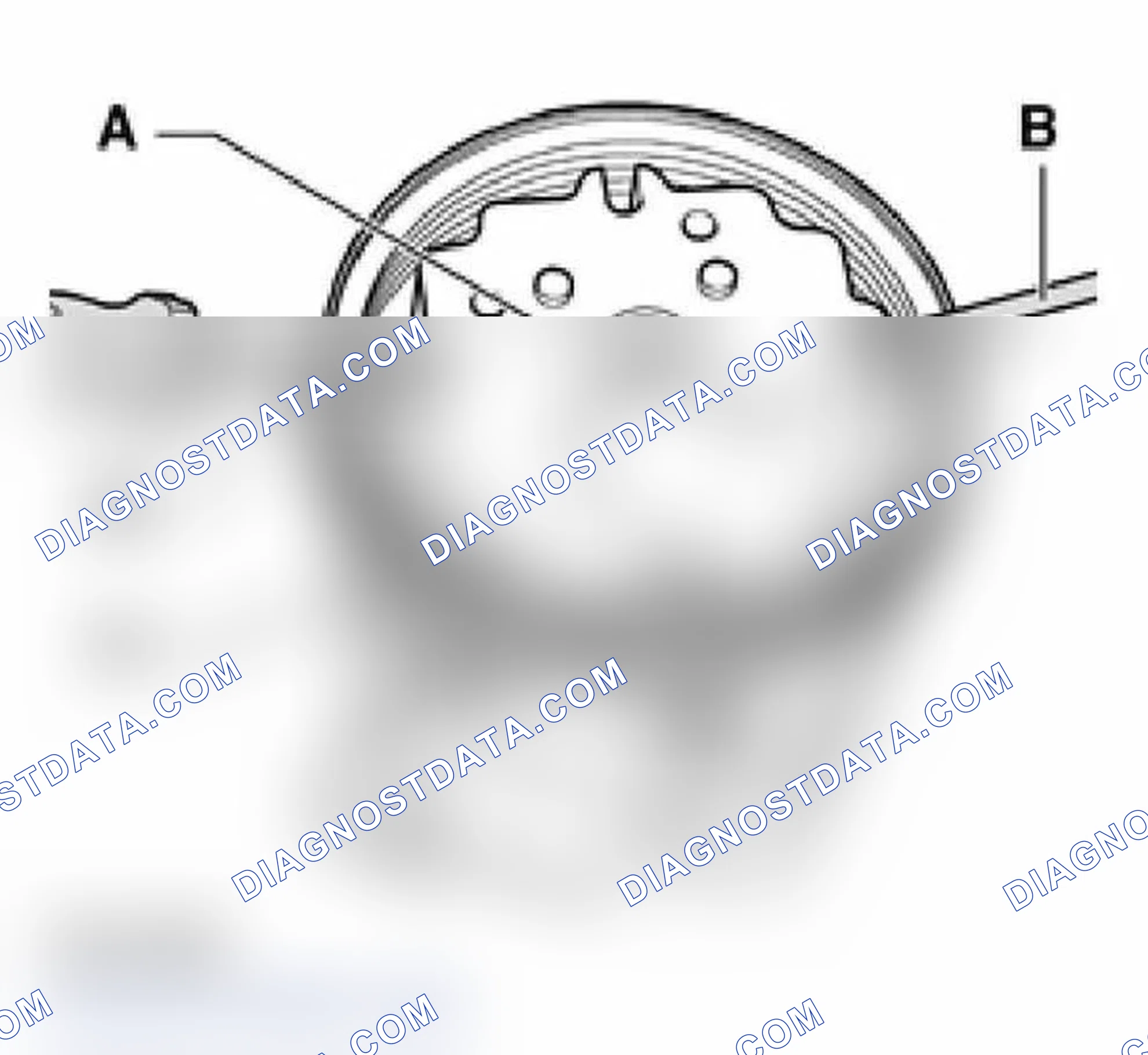 Scheme 107