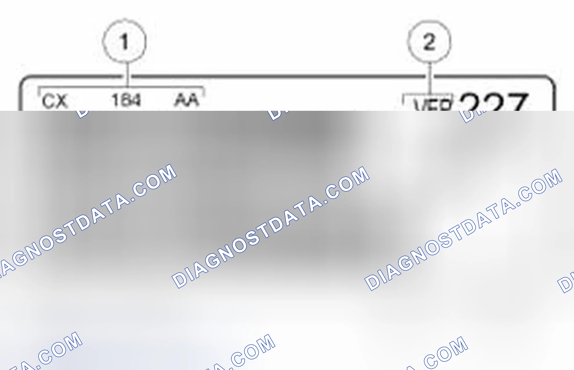Scheme 447: Engine Code Information Label