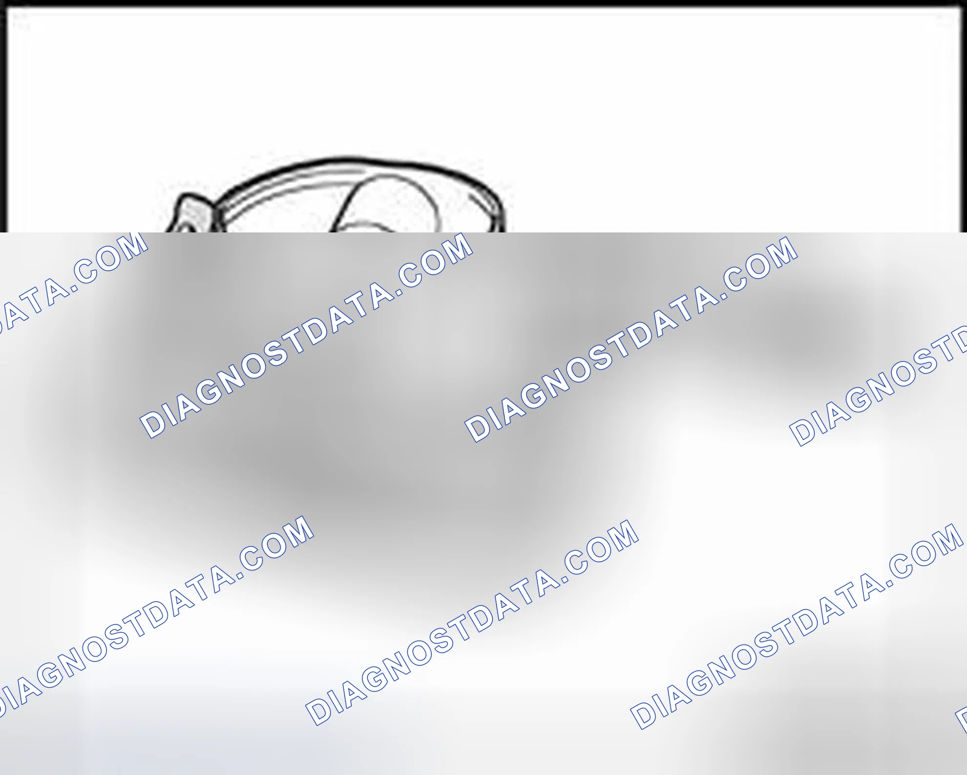 Scheme 12: Checking piston