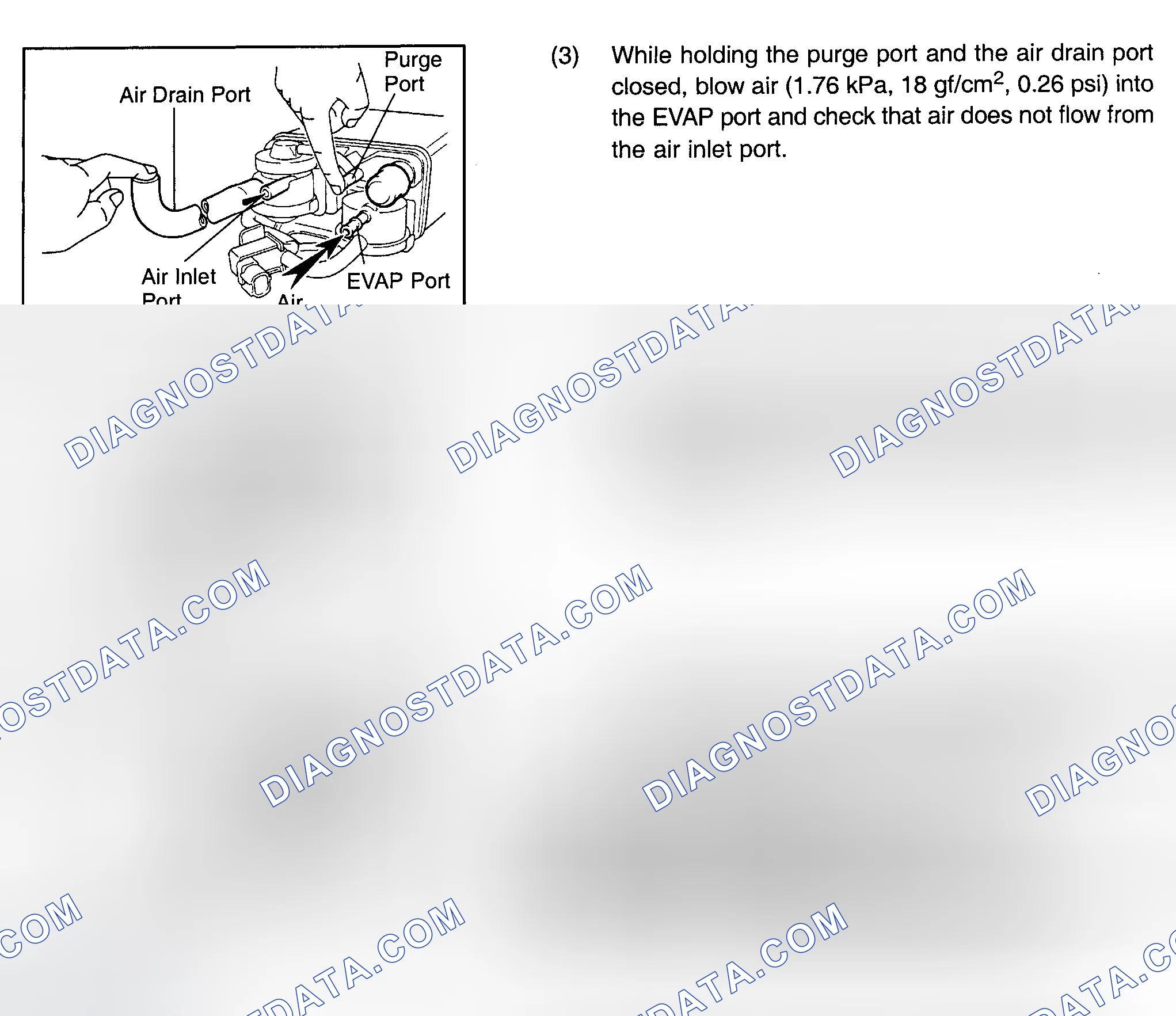Scheme 259