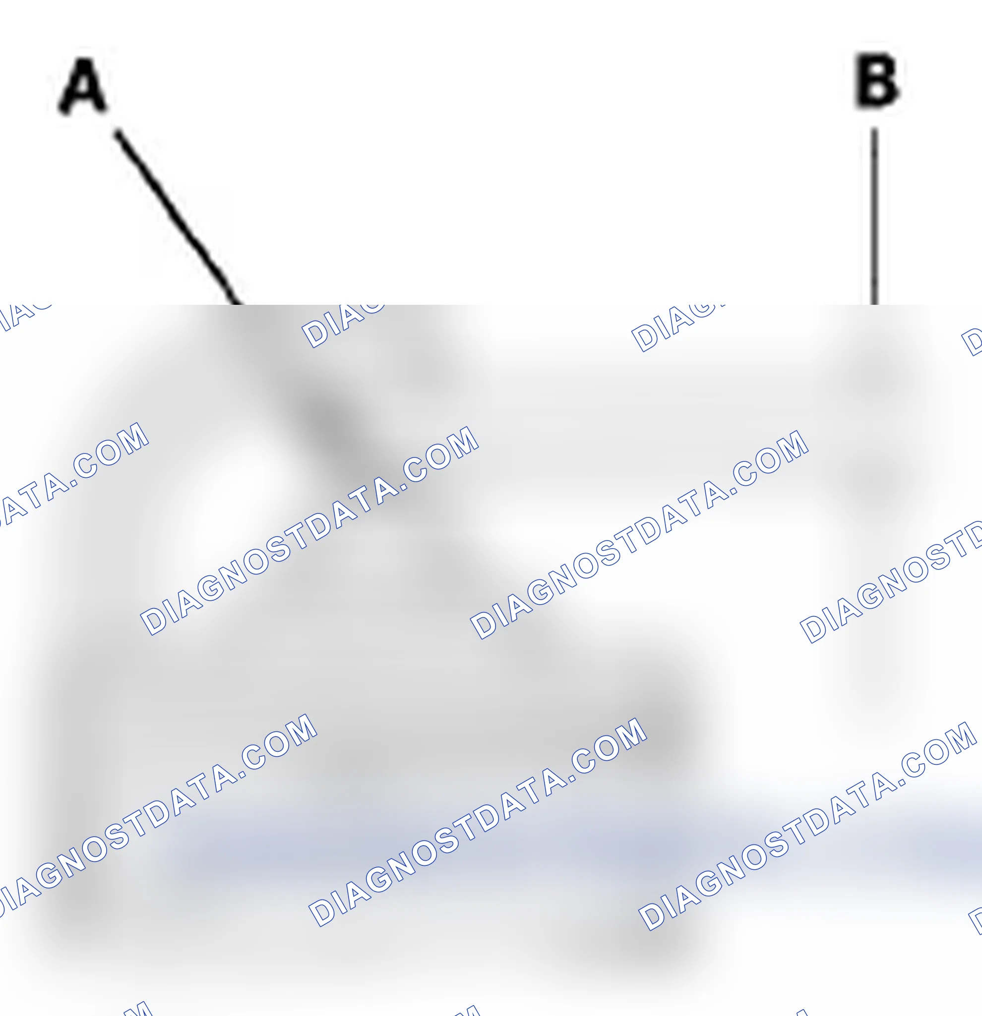 Scheme 7