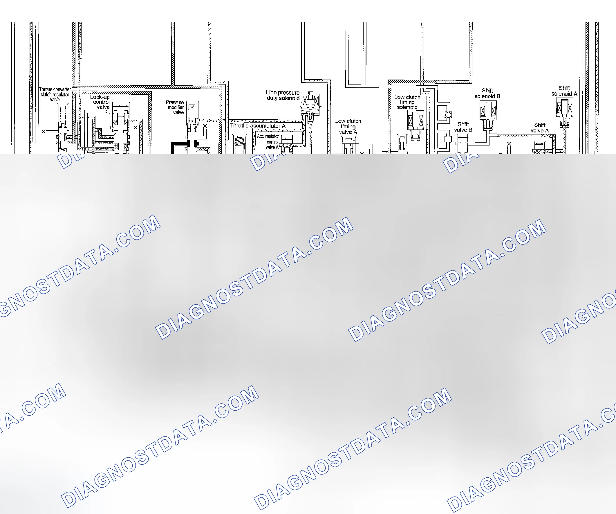 Scheme 893