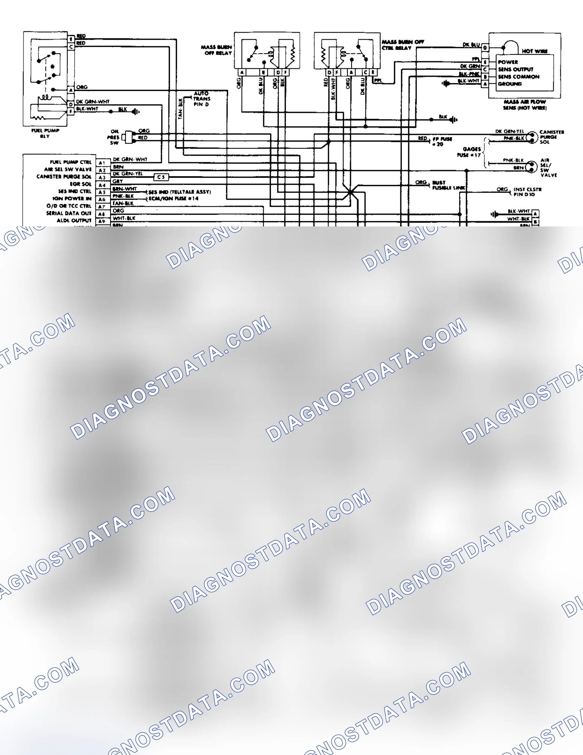 Scheme 217: Wiring Diagram, "Y" 5.7L (VIN 8)